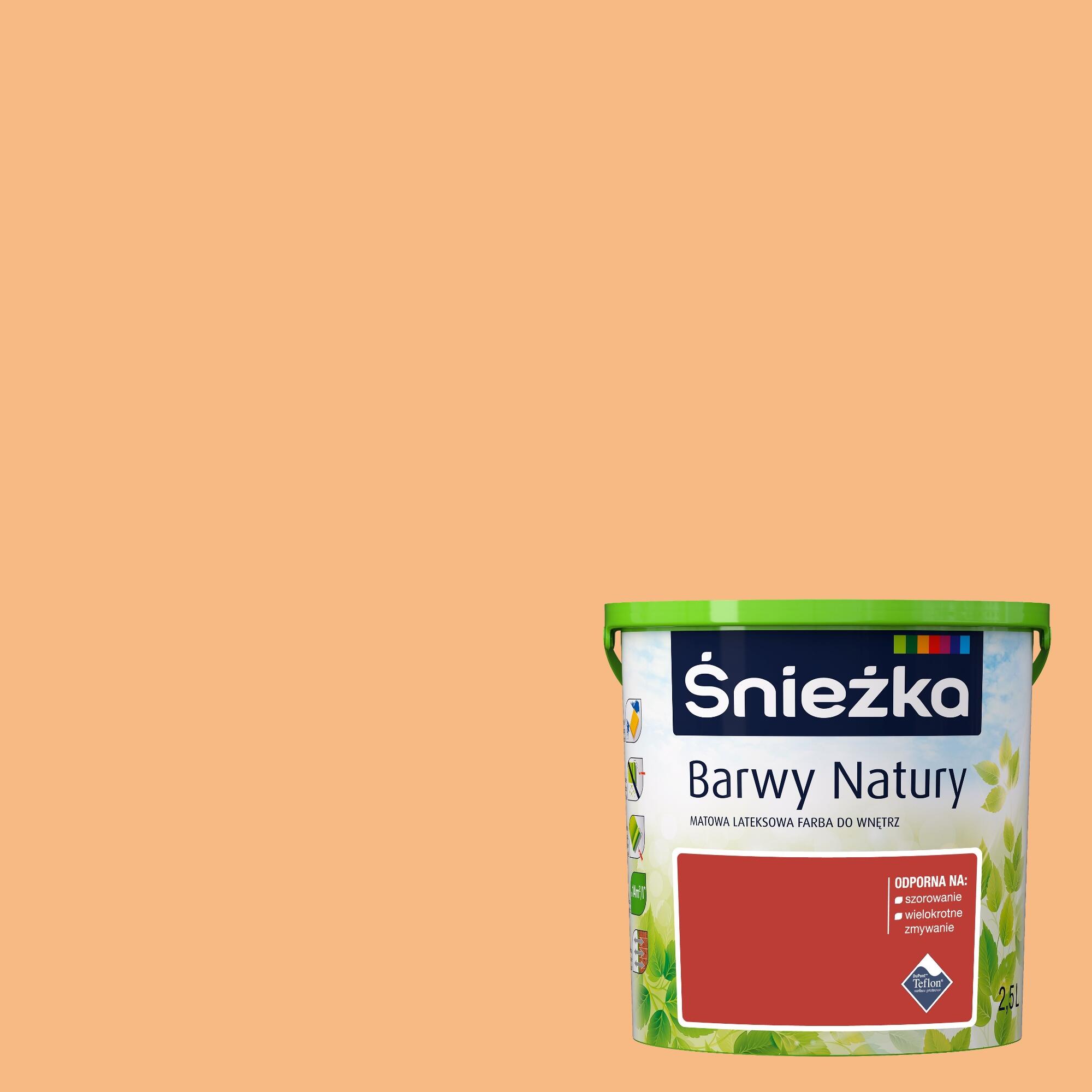 Farba Barwy Natury brzoskwiniowy sad 2,5l