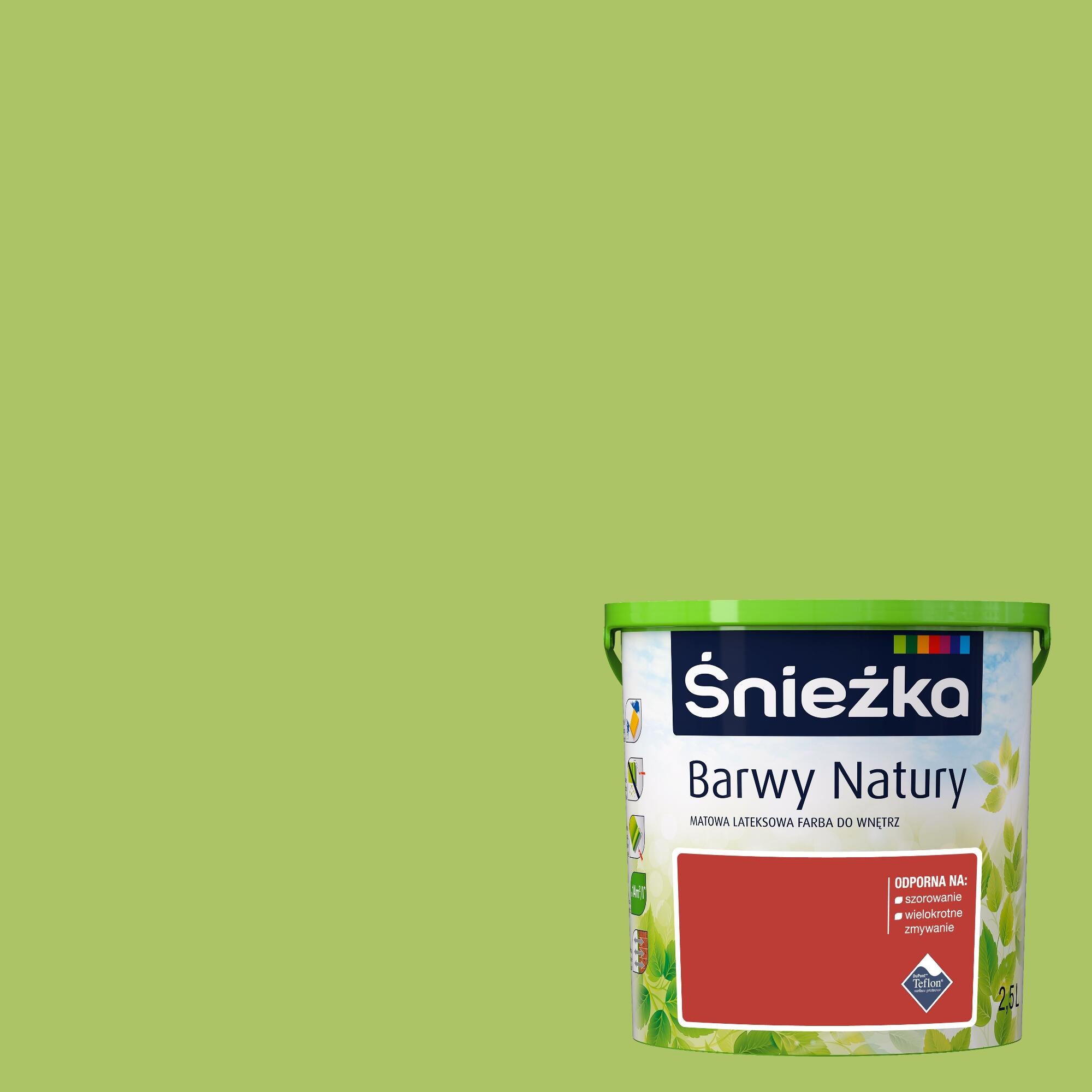 Farba Barwy Natury zielona herbata 2,5l