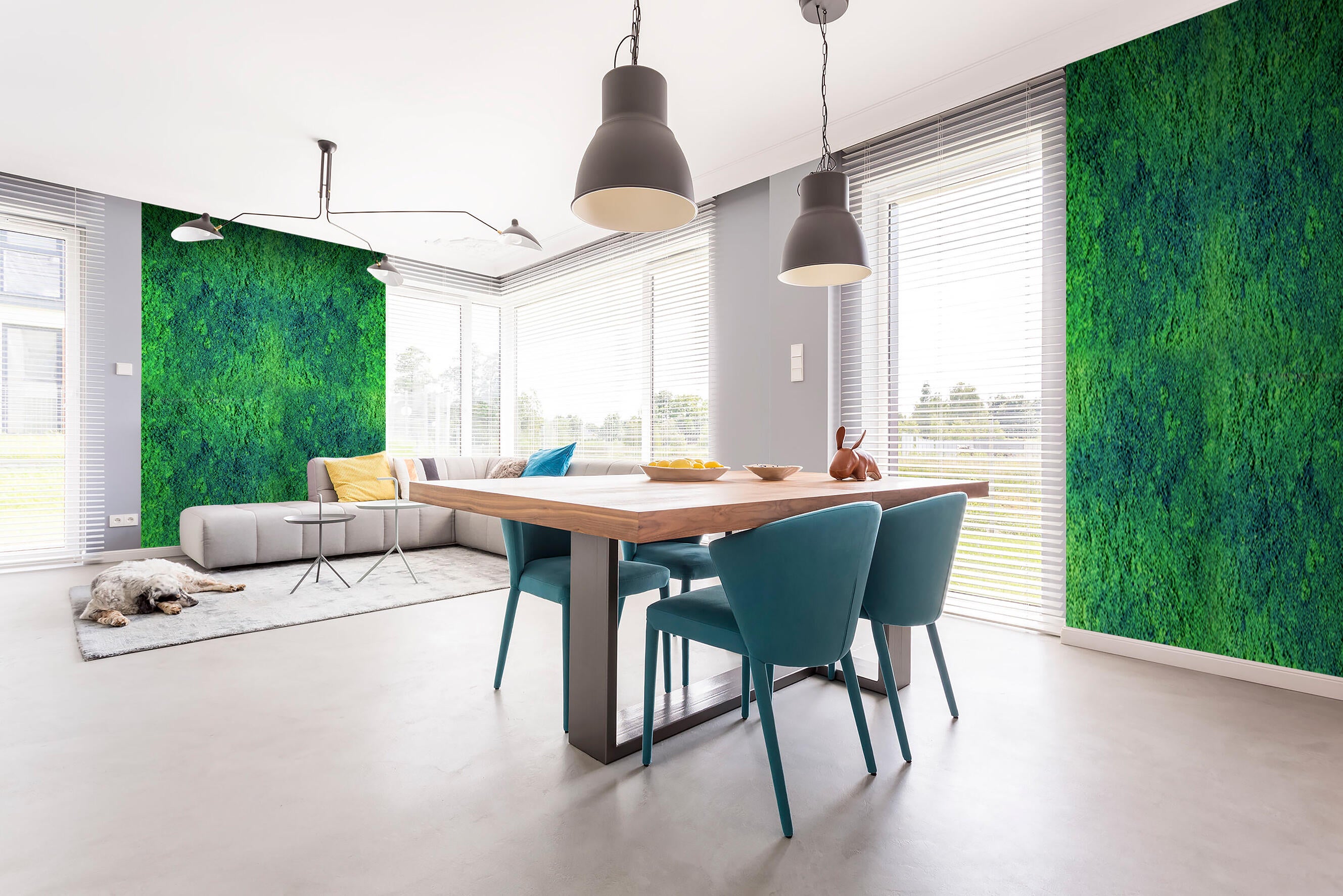 Tynk o efekcie mchu Fox Dekorator zestaw 3,5m2 - 3