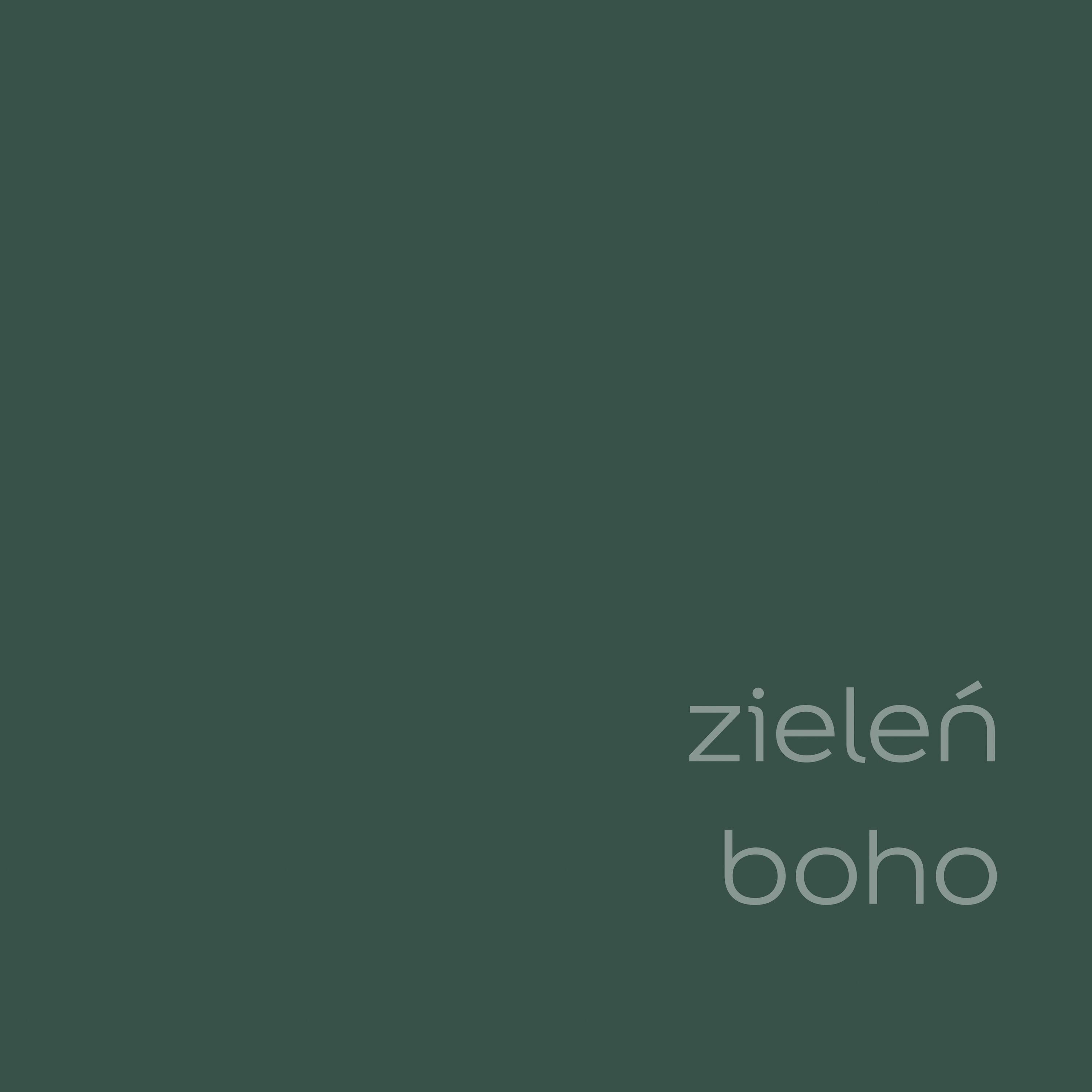 Farba Dulux EasyCare zieleń boho 2,5l - 3