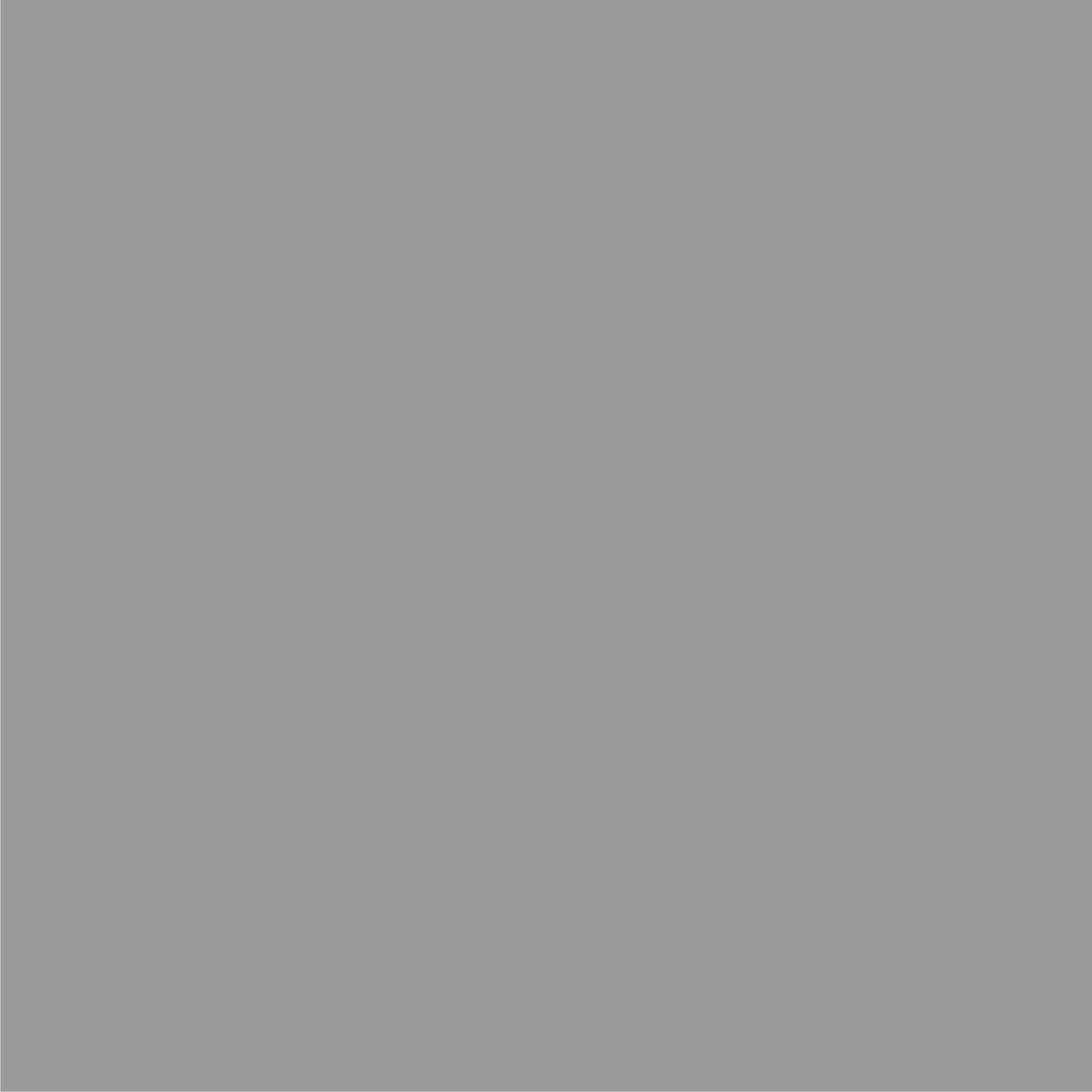 Farba Barwy Natury grafitowy mural 2,5l - 2