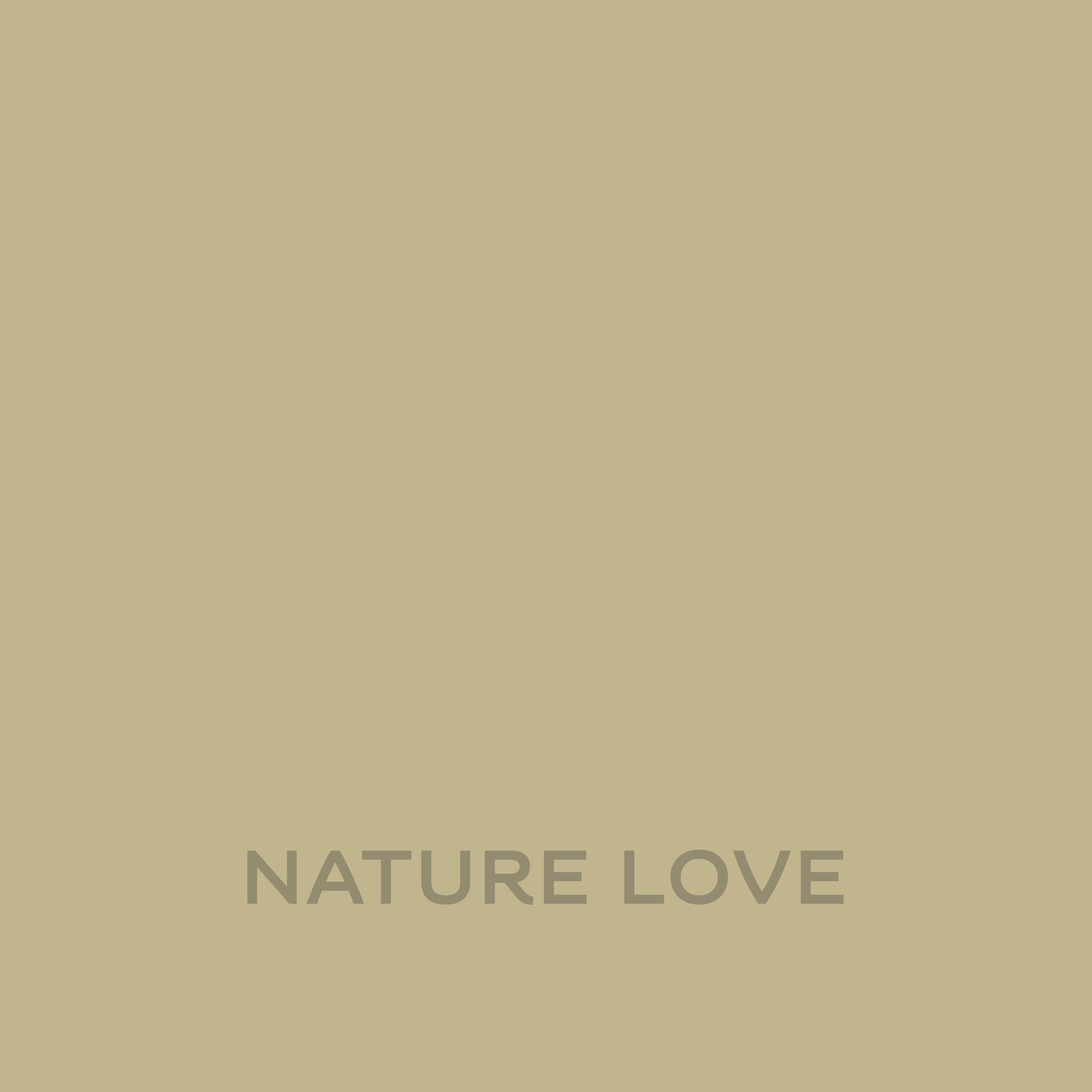 Farba Dulux Ambiance Ceramic nature love 2,5l - 2