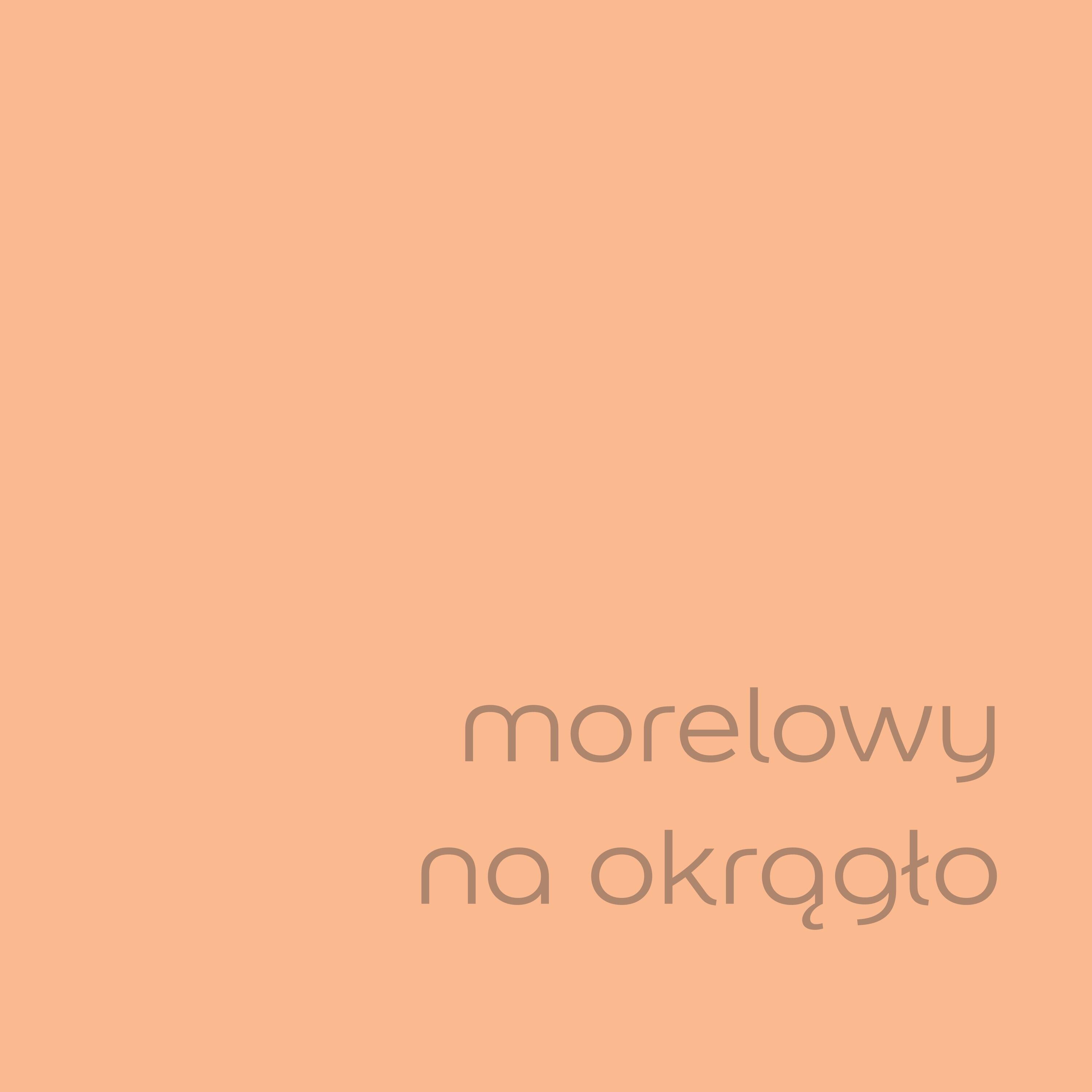 Farba Dulux EasyCare morelowy na okrągło 2,5l - 3