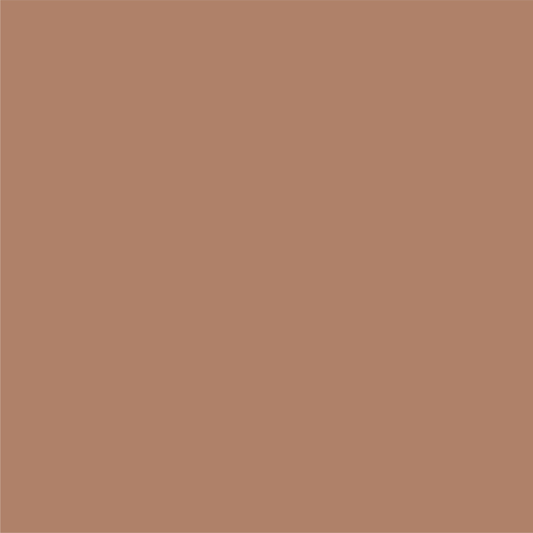 Farba Barwy Natury pachnący cynamon 2,5l - 3