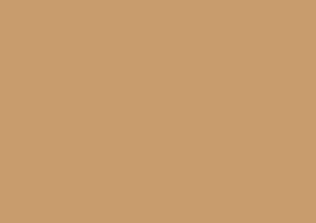 Kolor 039 do farby fasadowej, silikonowej 650 TectorTherm