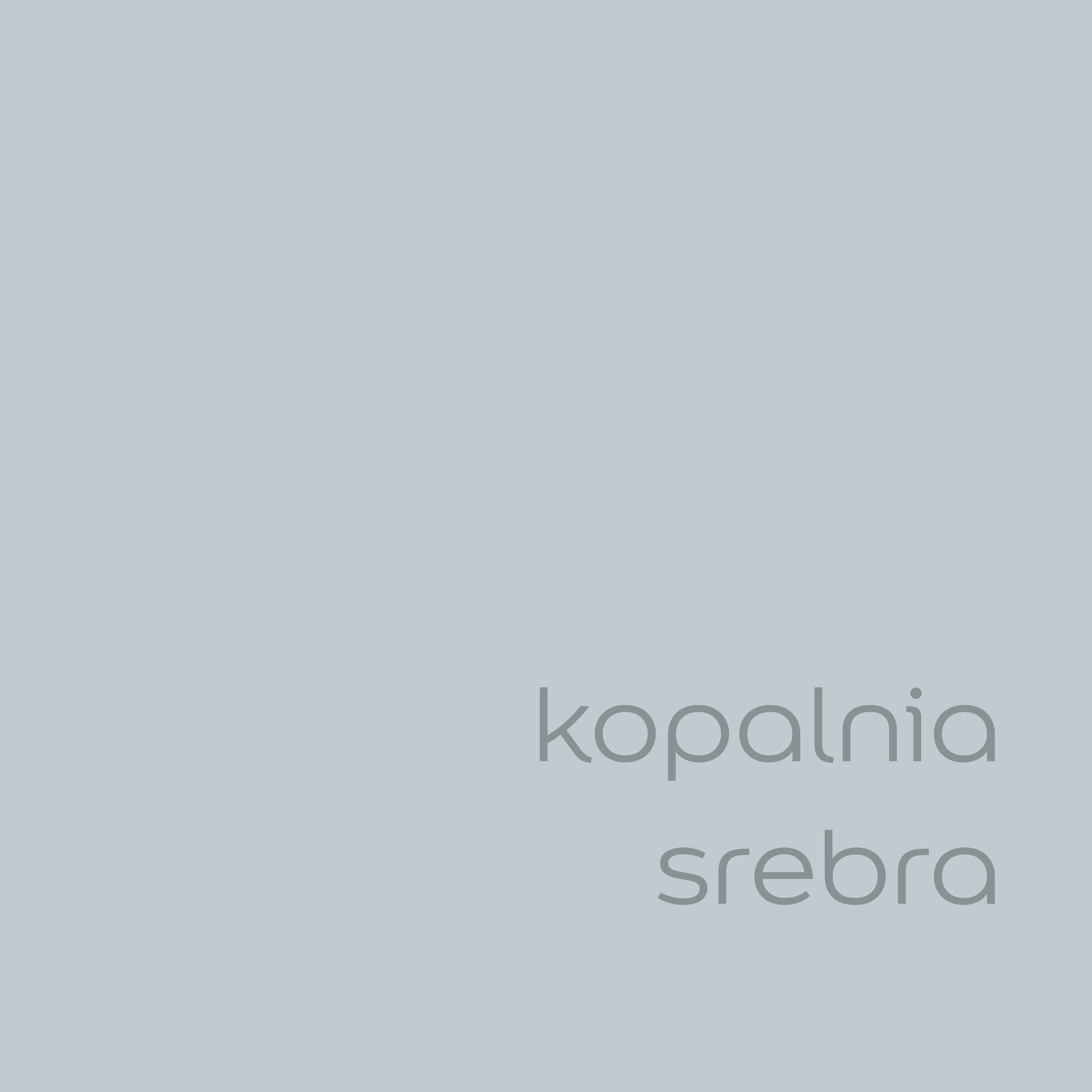 Farba Dulux EasyCare kopalnia srebra 5l - 3