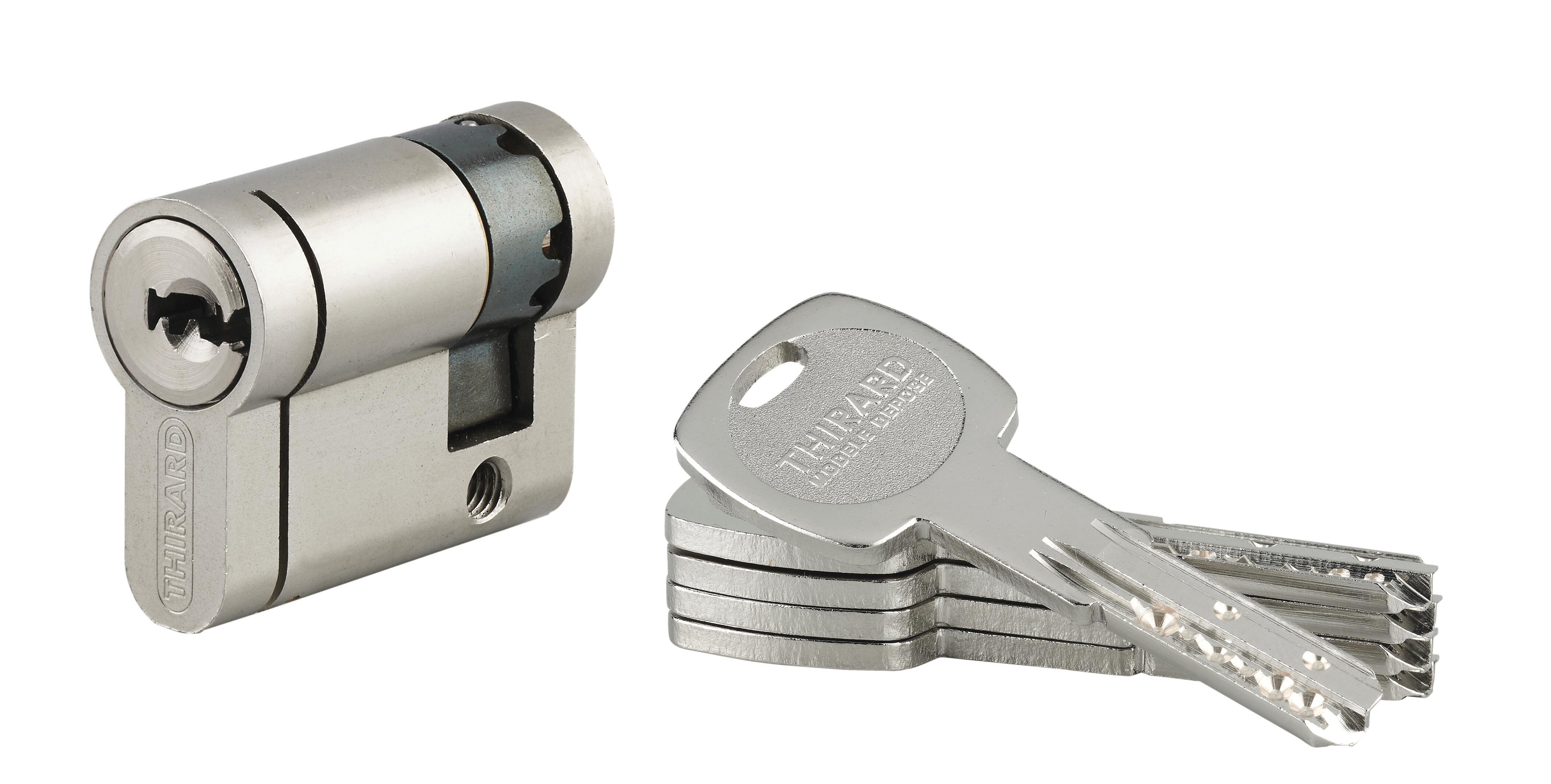 Demi cylindre TRANSIT 2 30 x 10 mm laiton 4 clés - THIRARD - 2