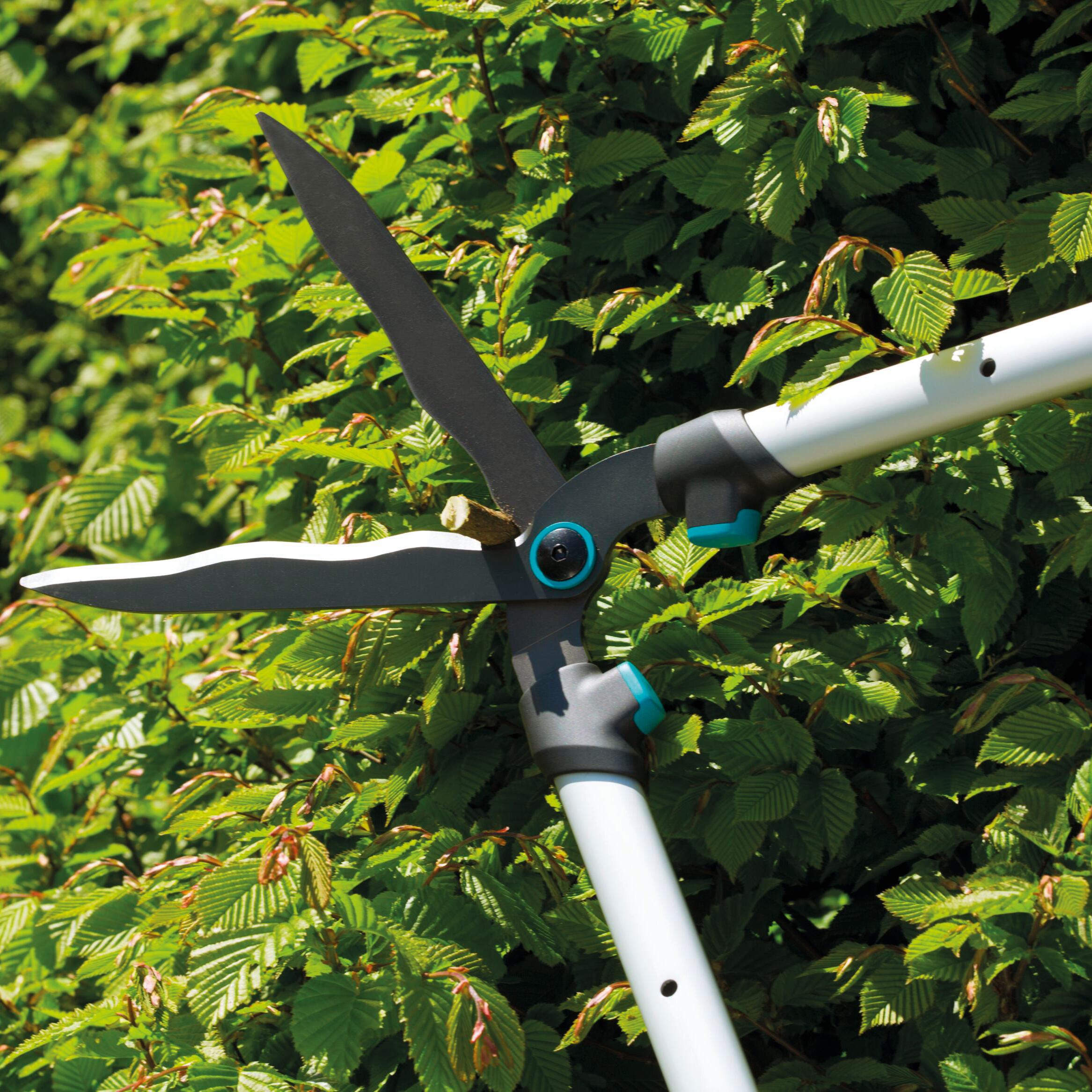 Cesoia tagliasiepi con lama curva da 23 cm in acciaio GARDENA TeleCut, per rami da 20 mm - 8