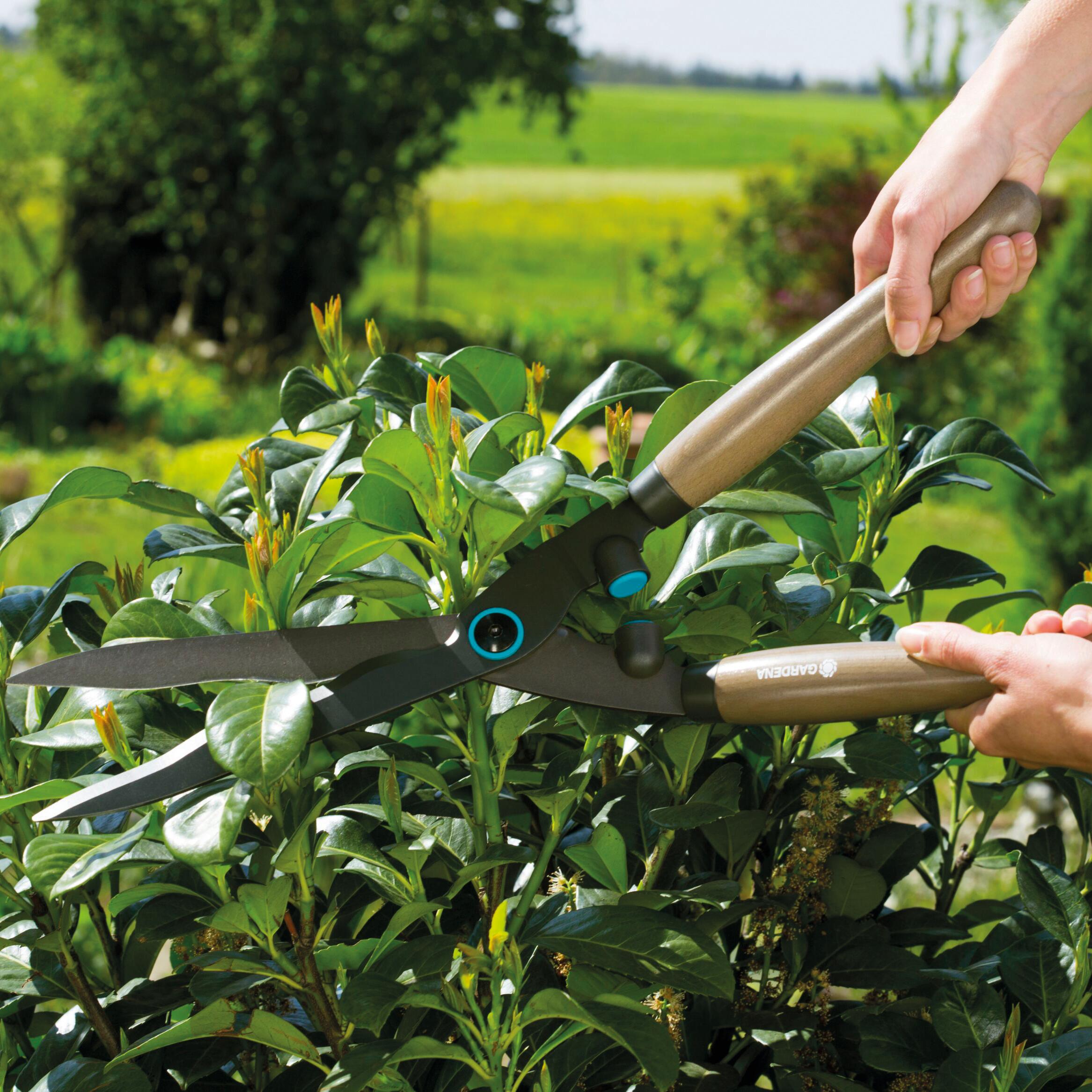 Cesoia tagliasiepi con lama ondulata 230 mm GARDENA NatureCut FSC 100% - 6