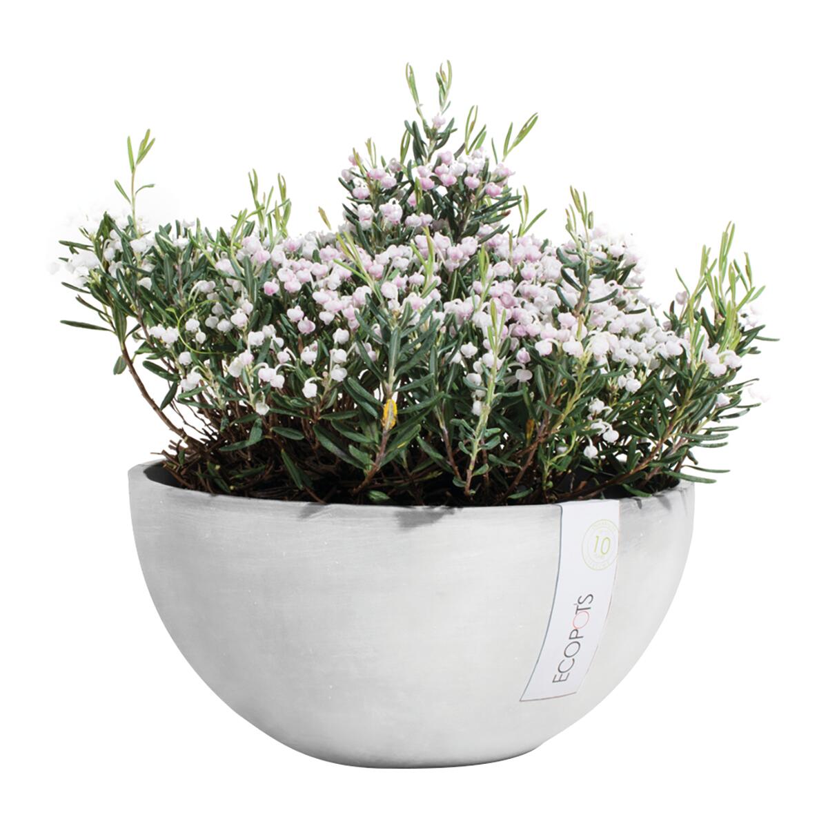 Vaso Brussels ECOPOT'S in polipropilene grigio chiaro H 14 x ø 30 cm - 2