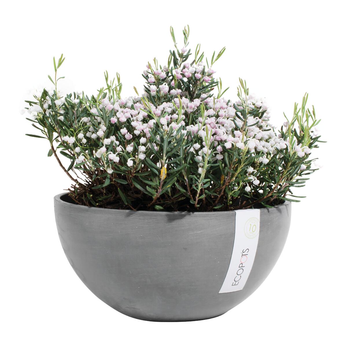 Vaso Brussels ECOPOT'S in polipropilene grigio H 14 x ø 30 cm - 9