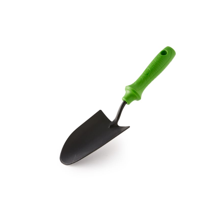 Transplantoir