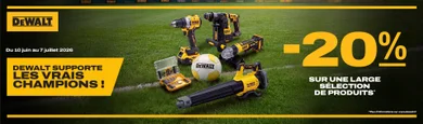 Dewalt
