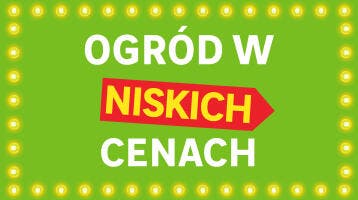 Najlepsze oferty