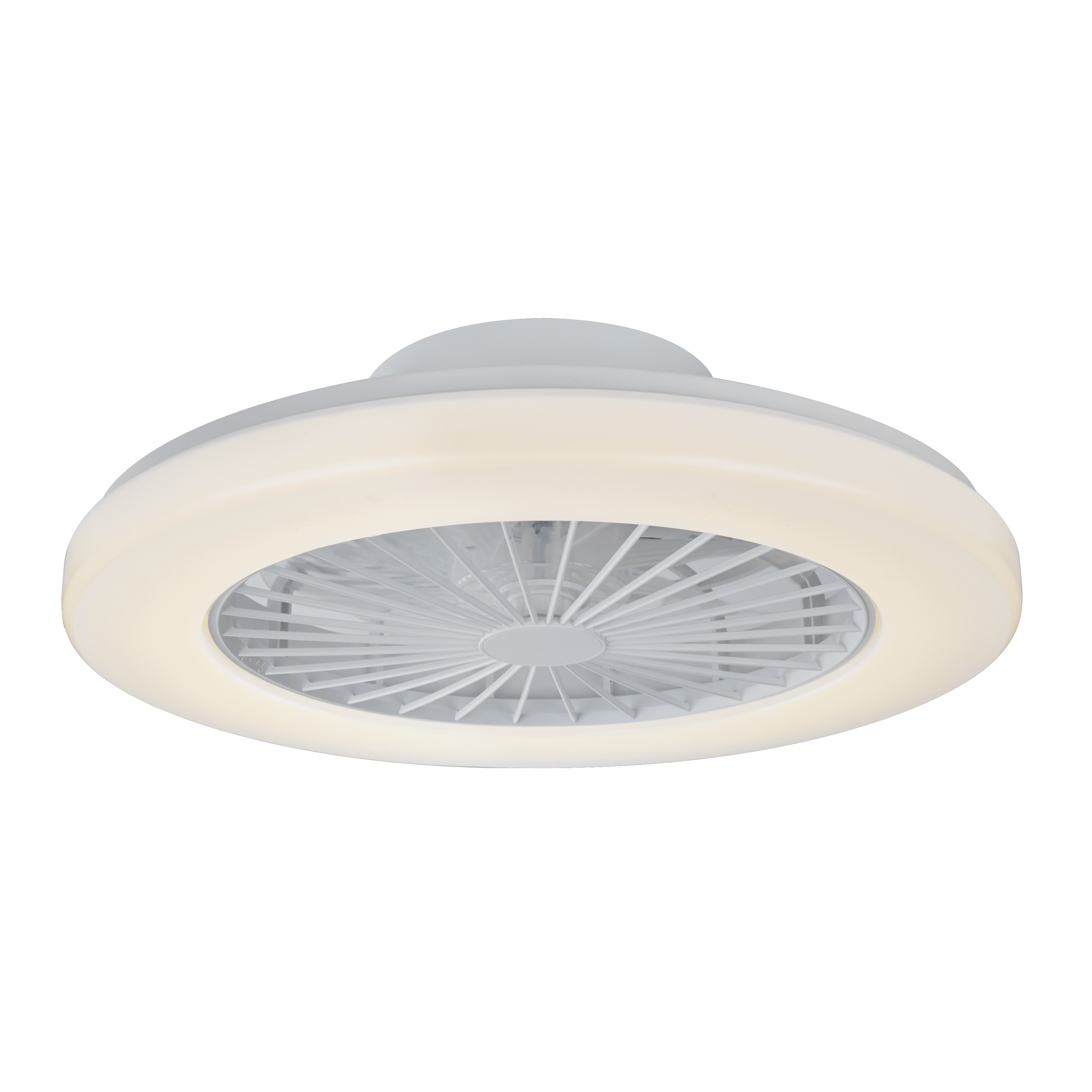 Ventilateur de plafond RICARDO  - 12