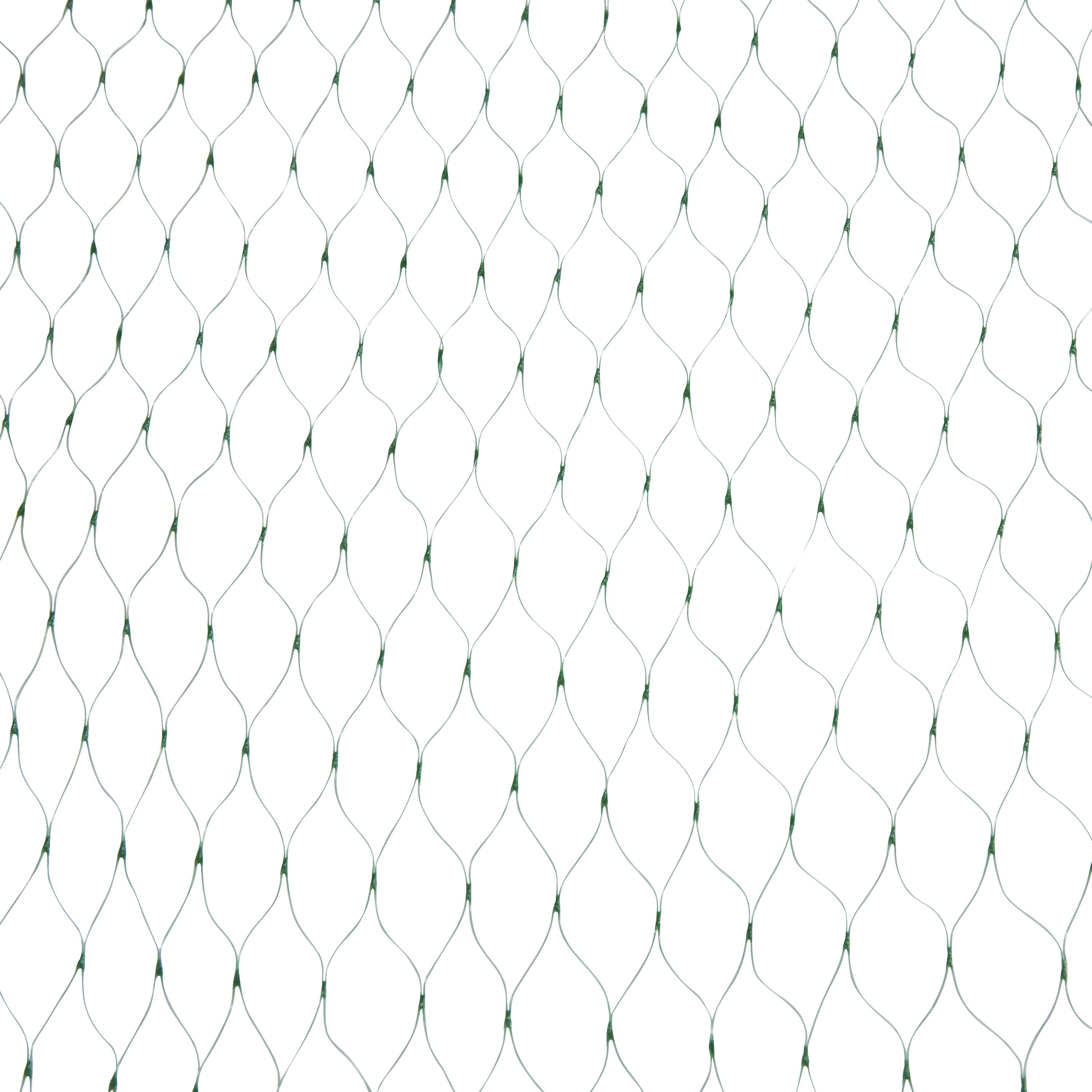 Filet de protection des cultures GEOLIA, l.3 x L.5 m - 3