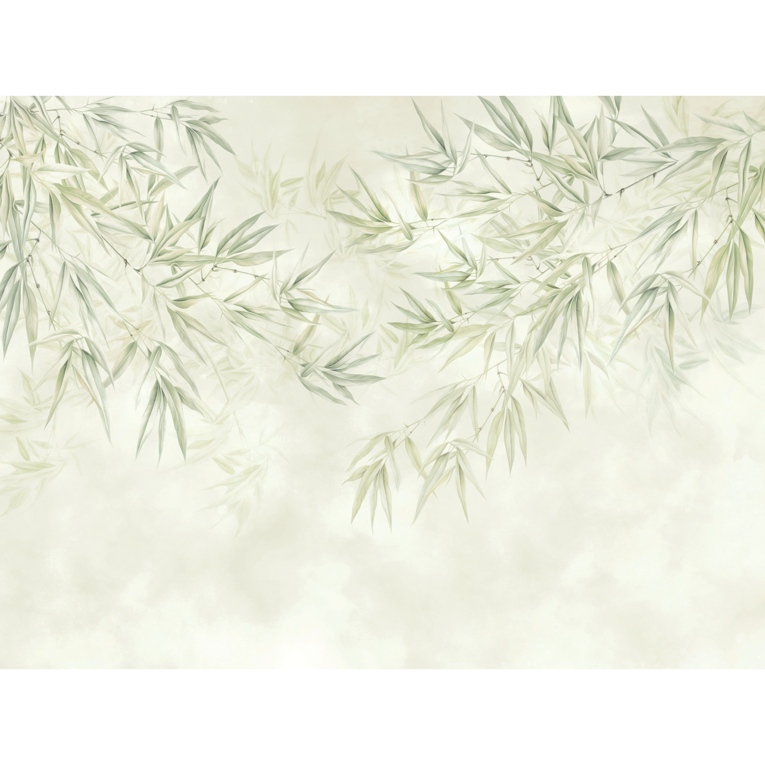 Mural Olive 400 x 280 cm delikatna struktura