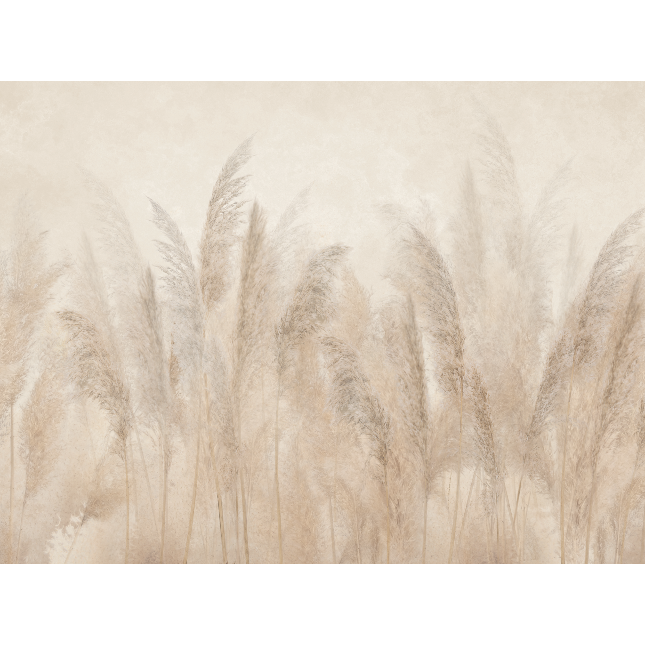Mural Pampas 400 x 280 cm struktura Art.