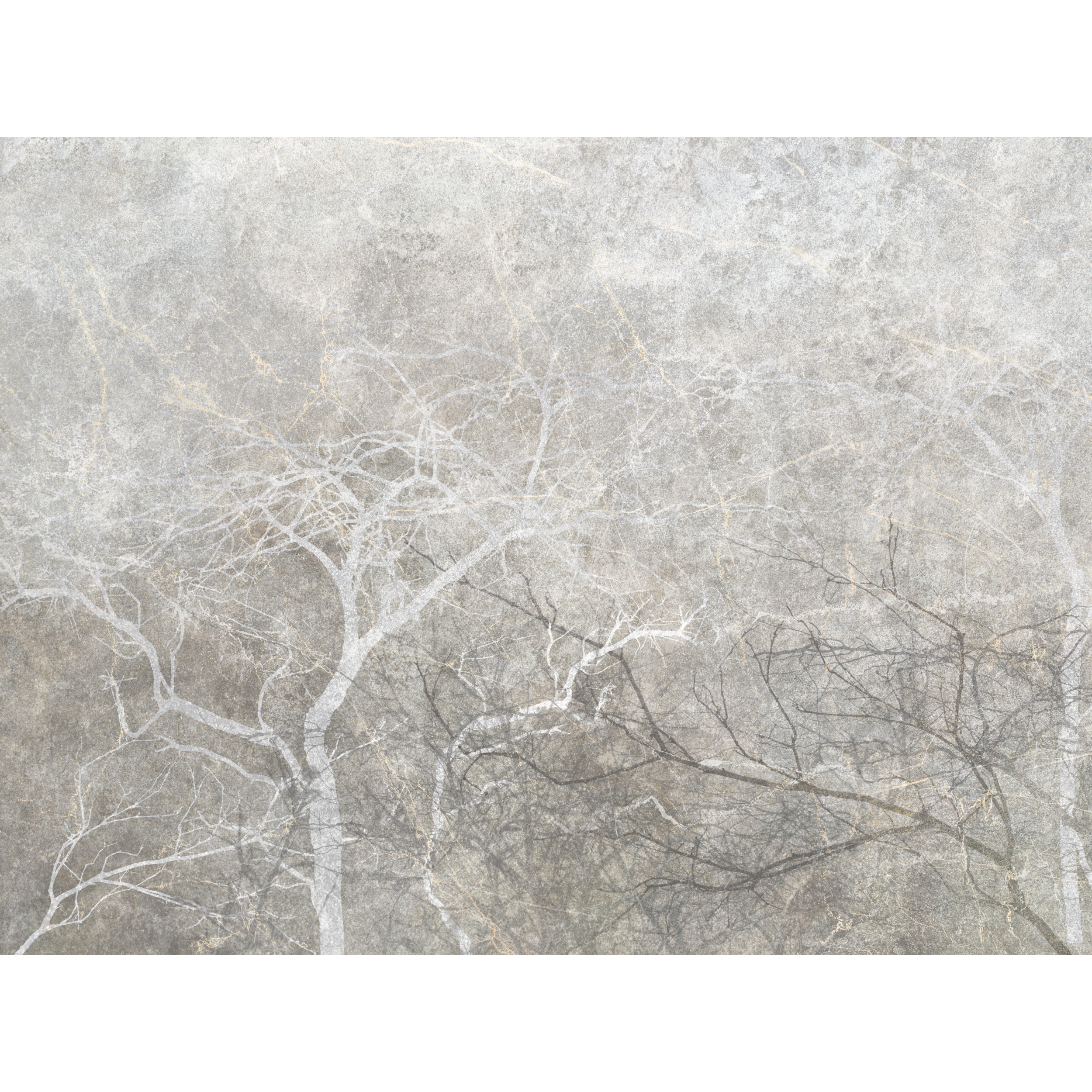 Mural Gray Fog Drzewa 400 x 280 cm struktura płótna