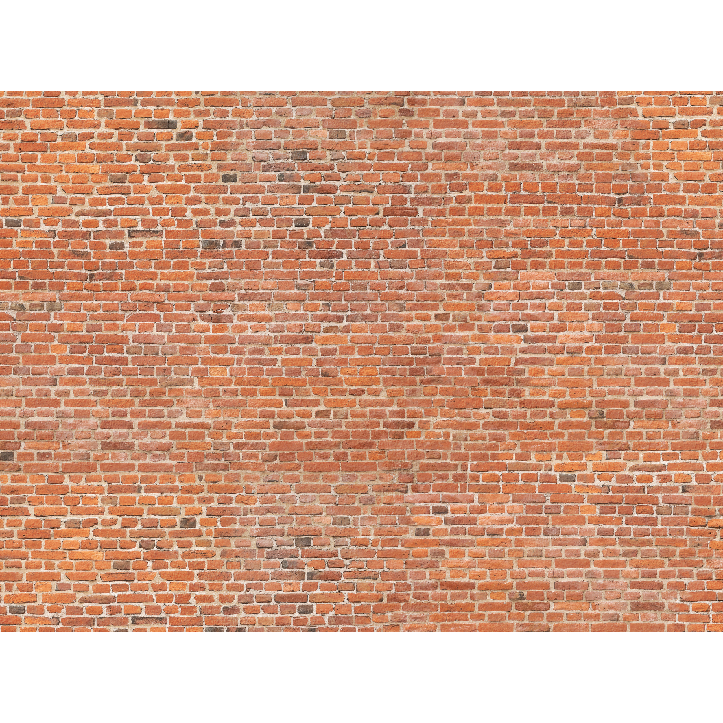 Mural Brick cegła czerwona 400 x 280 cm delikatna struktura