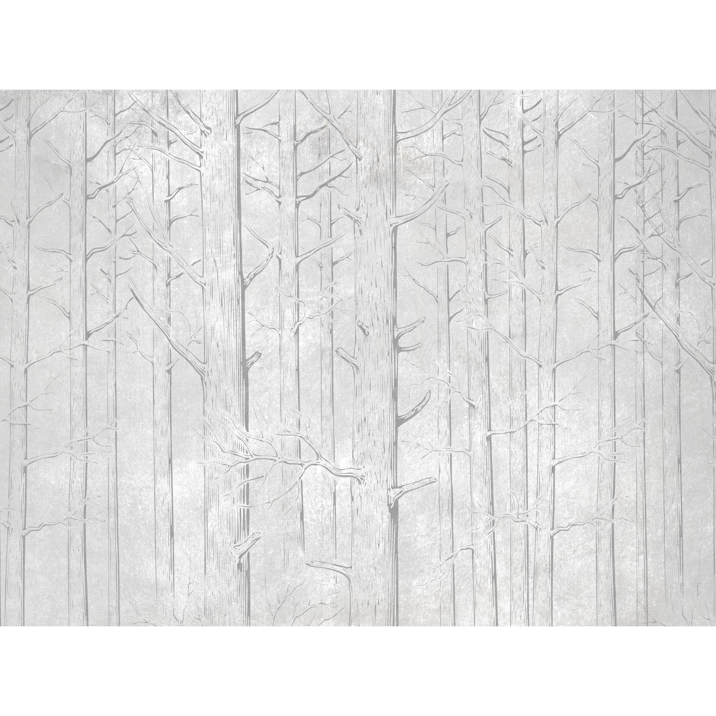 Mural Trees las w odcieniach szarości 400 x 280 cm struktura płótna