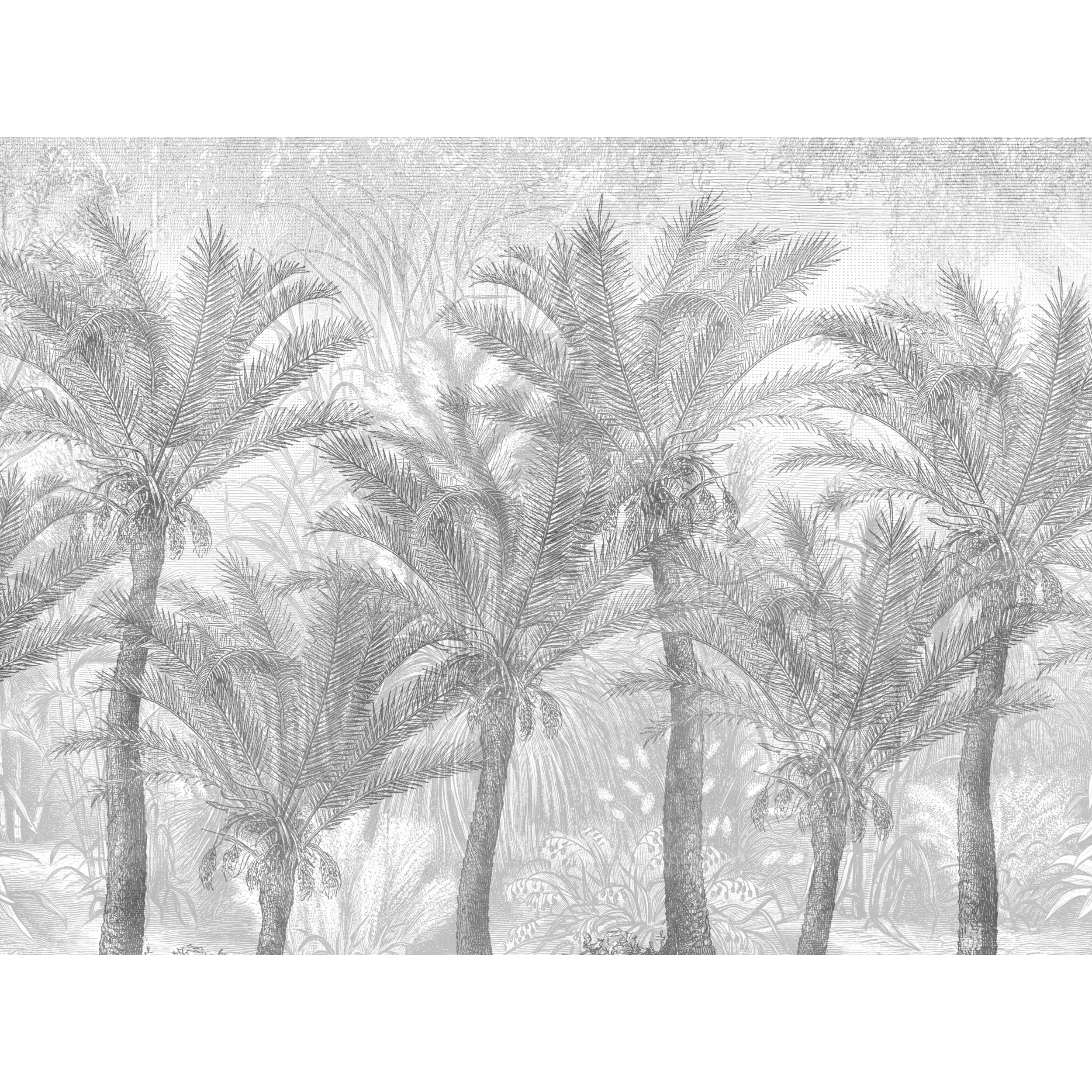 Mural Palms egzotyczne palmy 400 x 280 cm struktura płótna