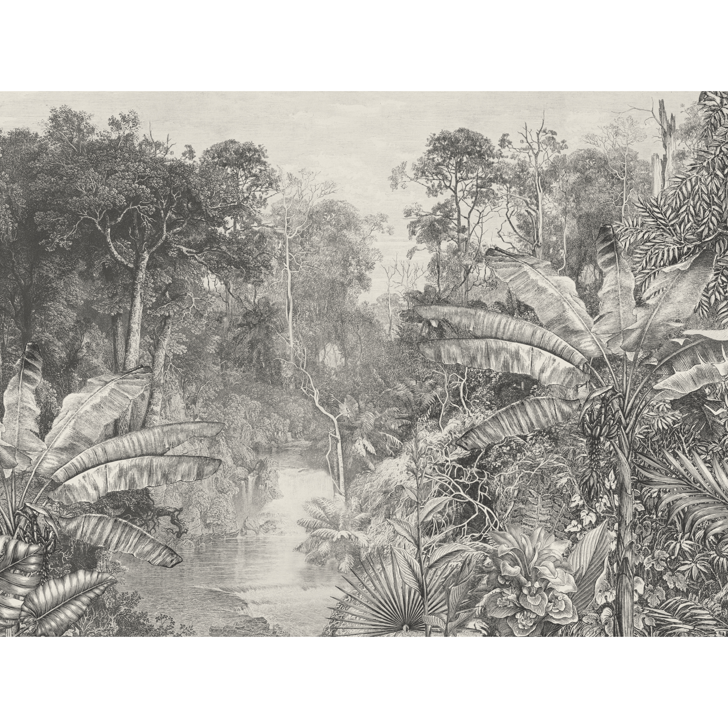 Mural Jungle dżungla w szarości 400 x 280 cm struktura Art