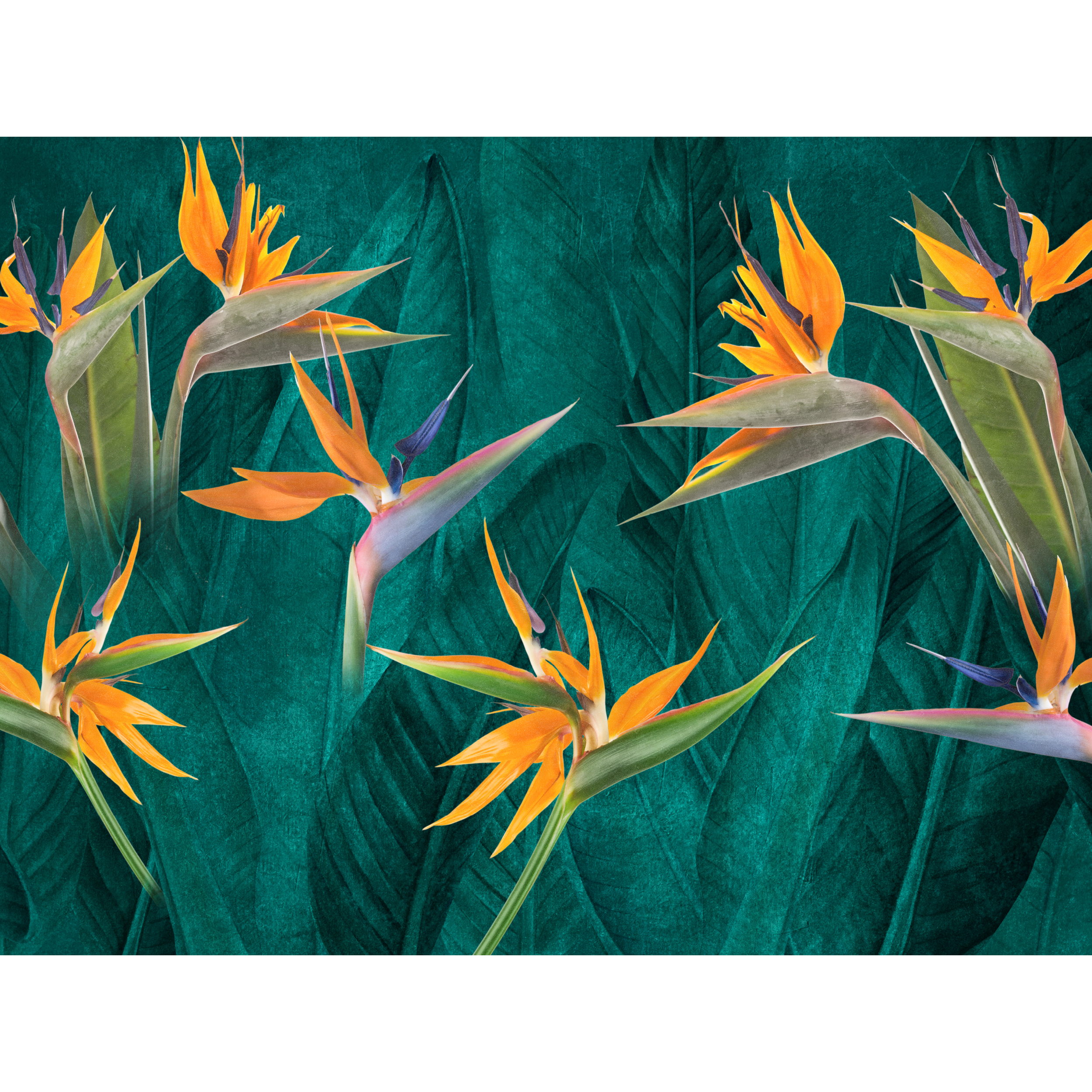 Mural Strelitzia egzotyczne kwiaty 400 x 280 cm struktura Art