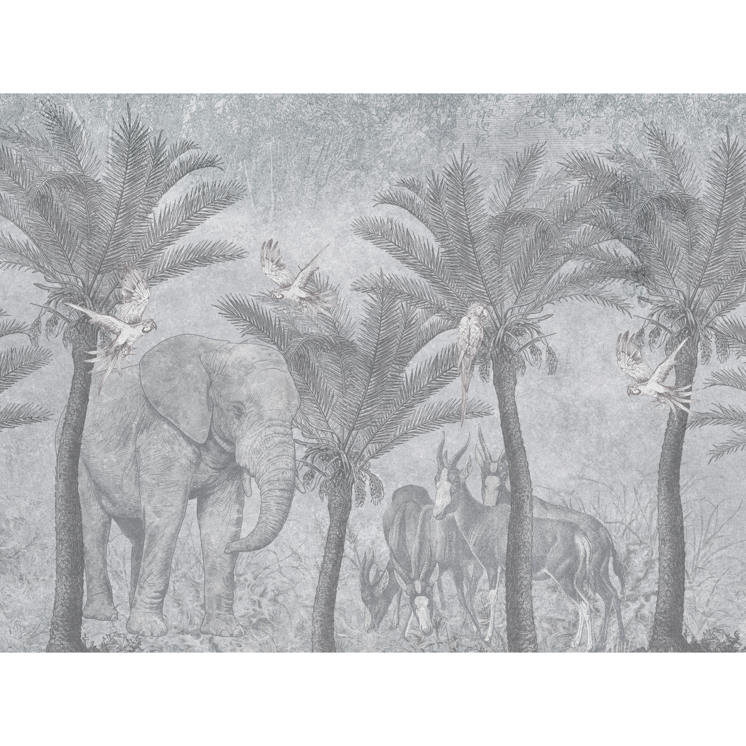Mural Kongo afrykańska dżungla 400 x 280 cm struktura płótna