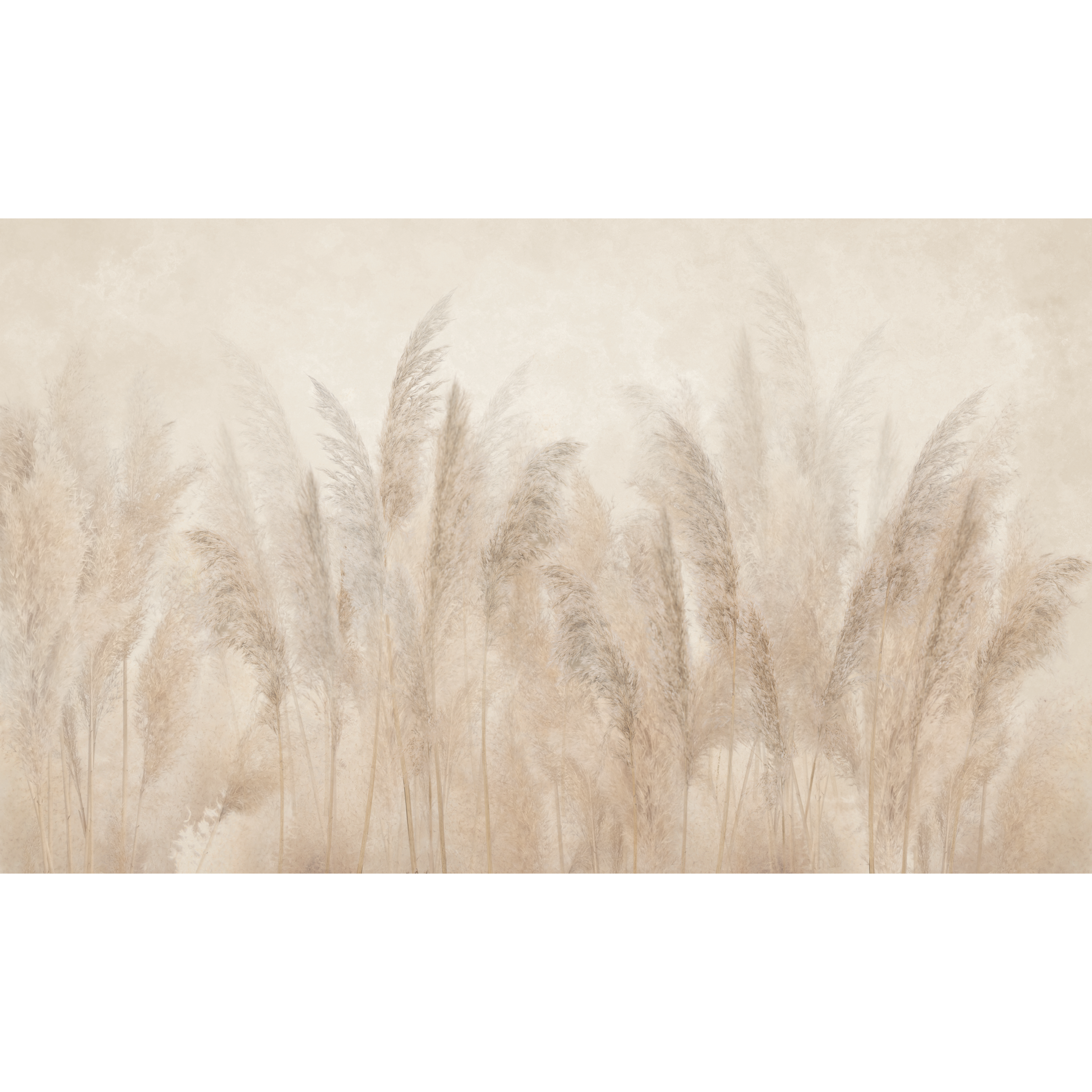 Mural Pampas 500 x 280 cm struktura Art.