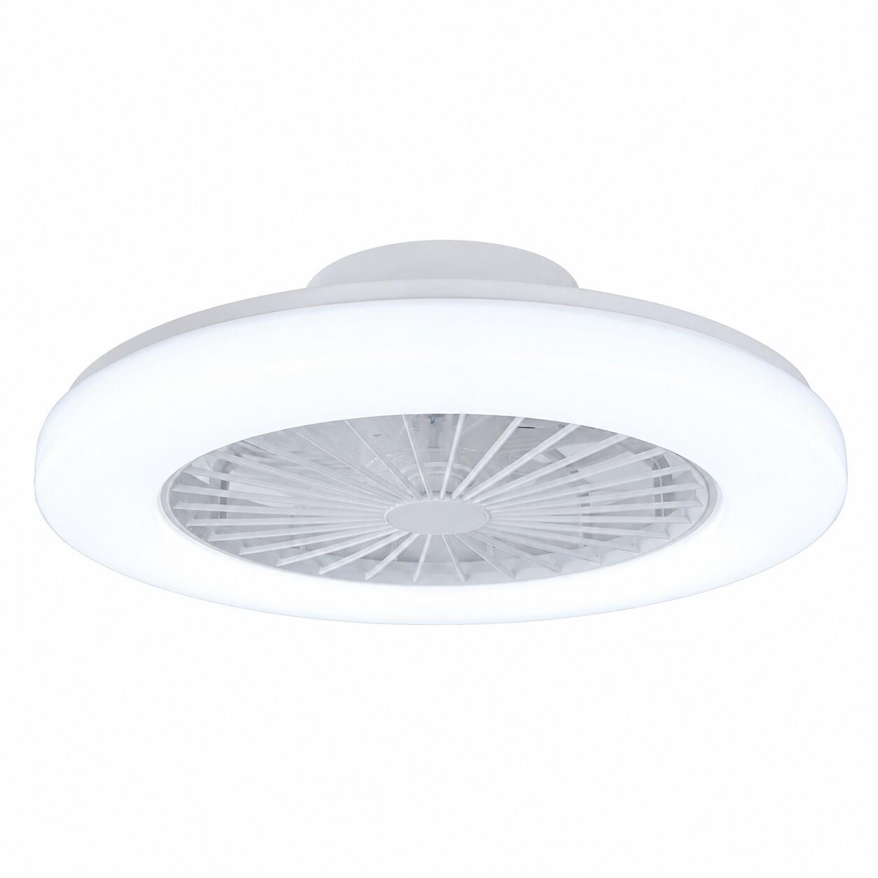 Ventilateur de plafond RICARDO  - 2