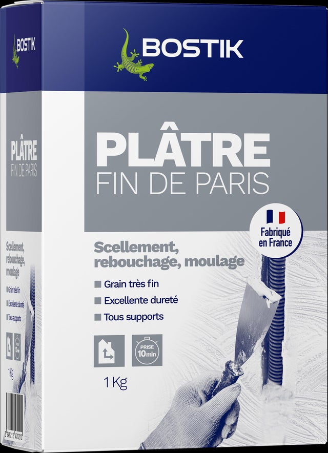 Plâtre fin de Paris en poudre intérieur 1 kg - BOSTIK