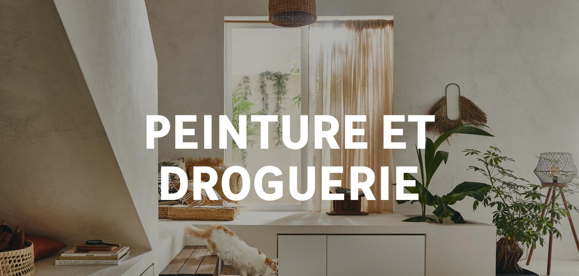 Bons plans peinture et droguerie