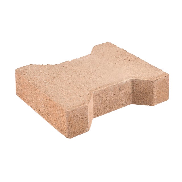 PAVE I SAUMON 19,8X16,5X4,5 CM LA PIECE