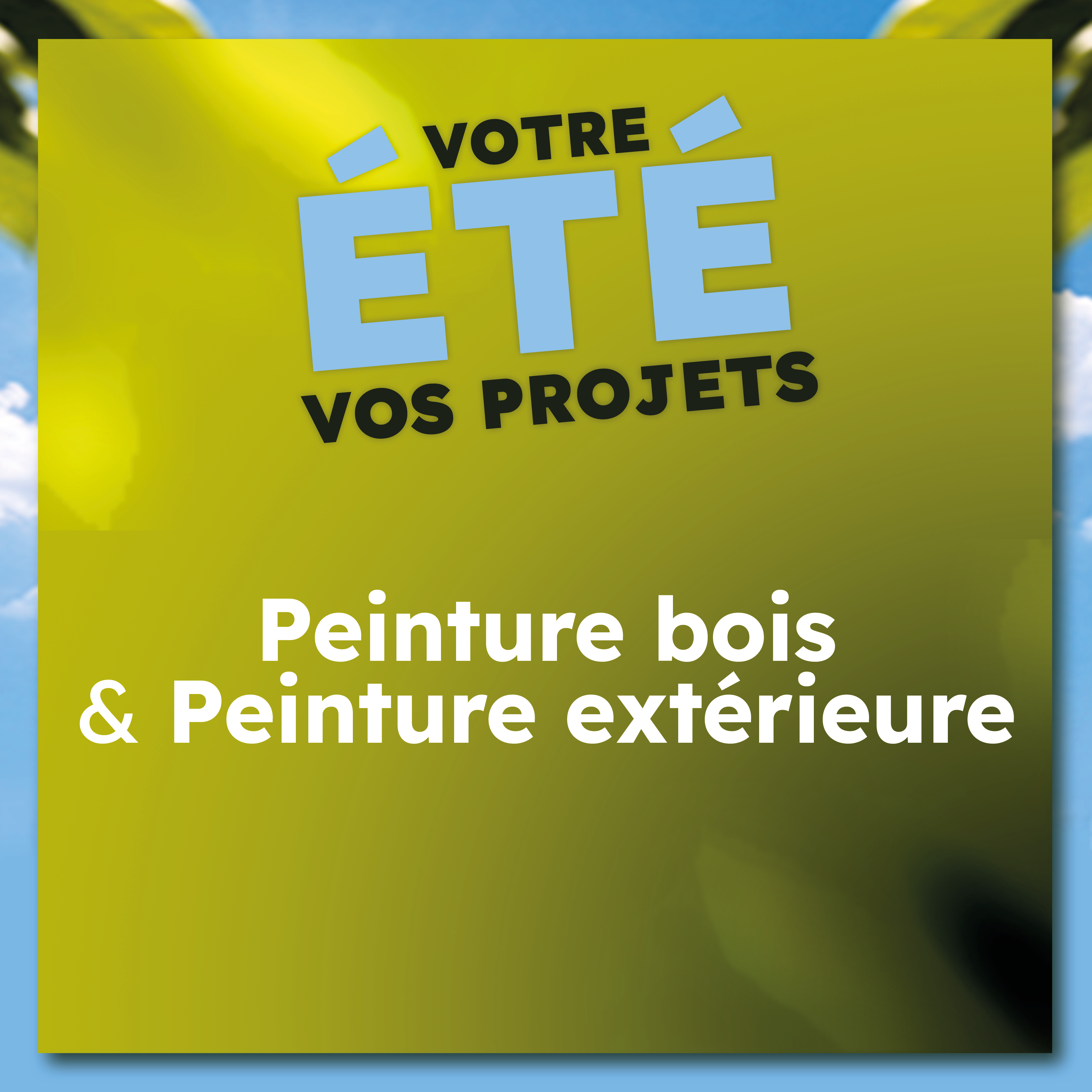 com-ii-bmfr-catégories-op_01-imgcarrée.png