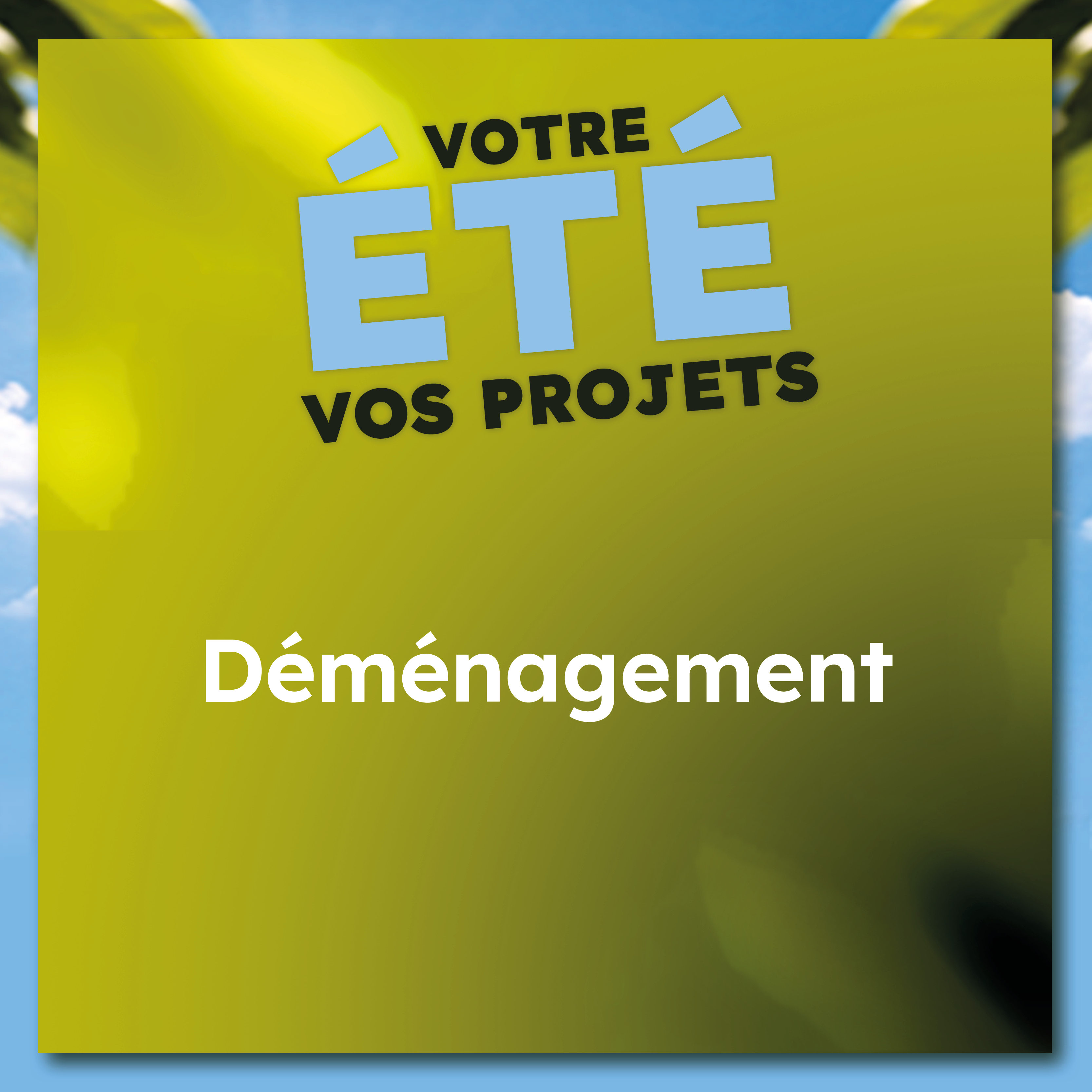 com-ii-bmfr-catégories-op_03-imgcarrée.png