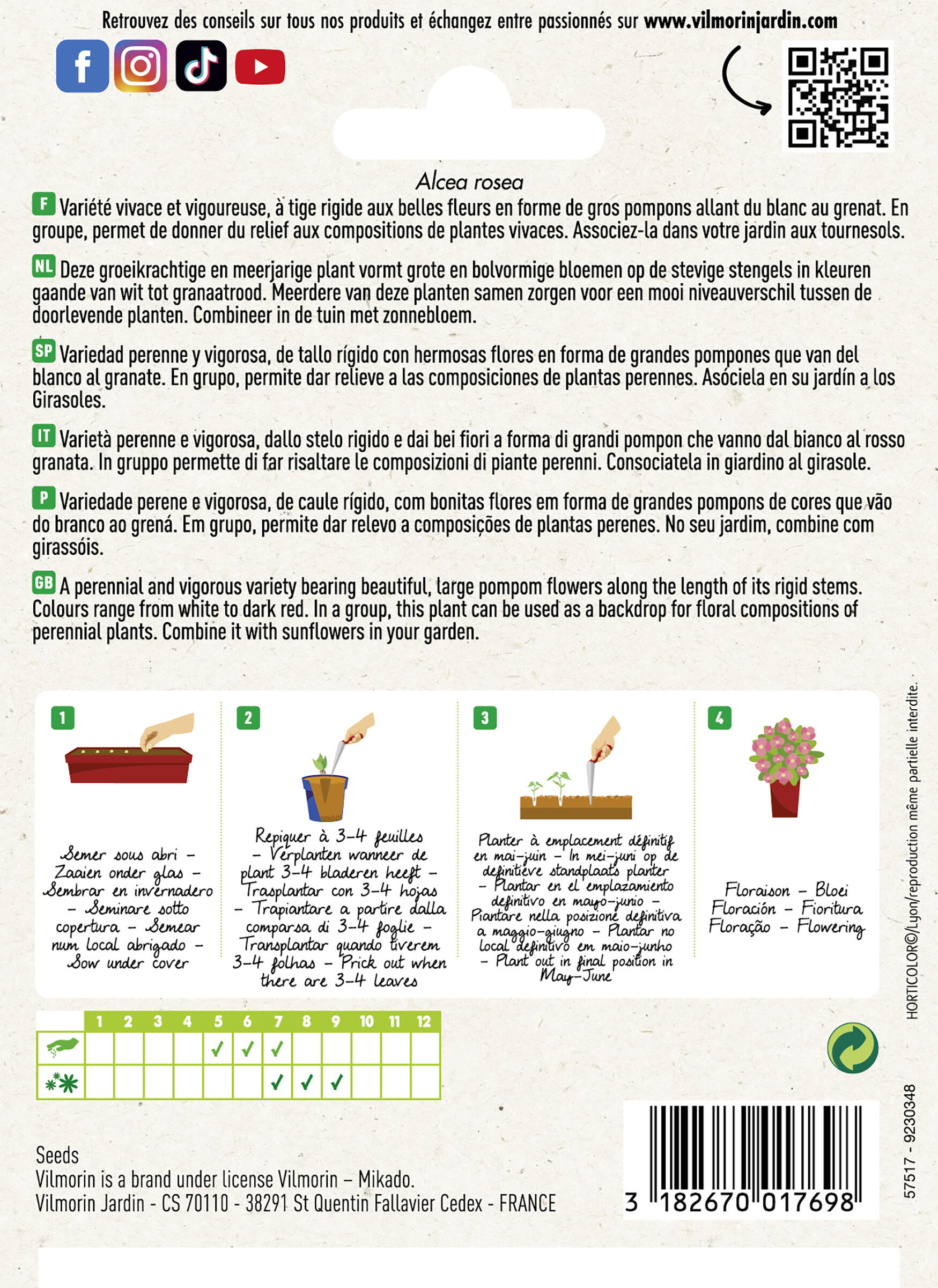 Semilla de malva Real - 2