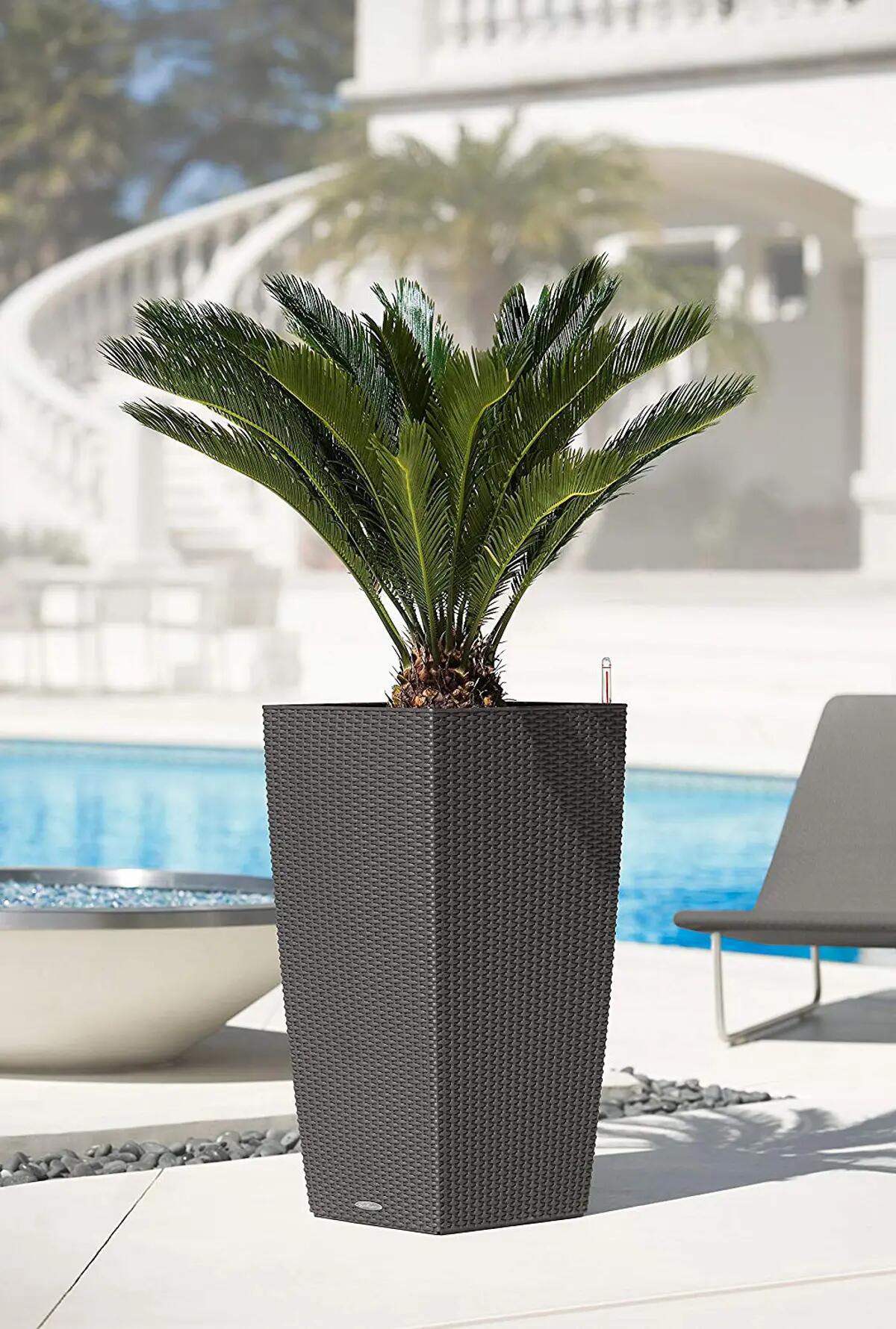 Vaso autoirrigante Cubico Cottage LECHUZA in polipropilene grigio H 75 x L 40 cm - 2