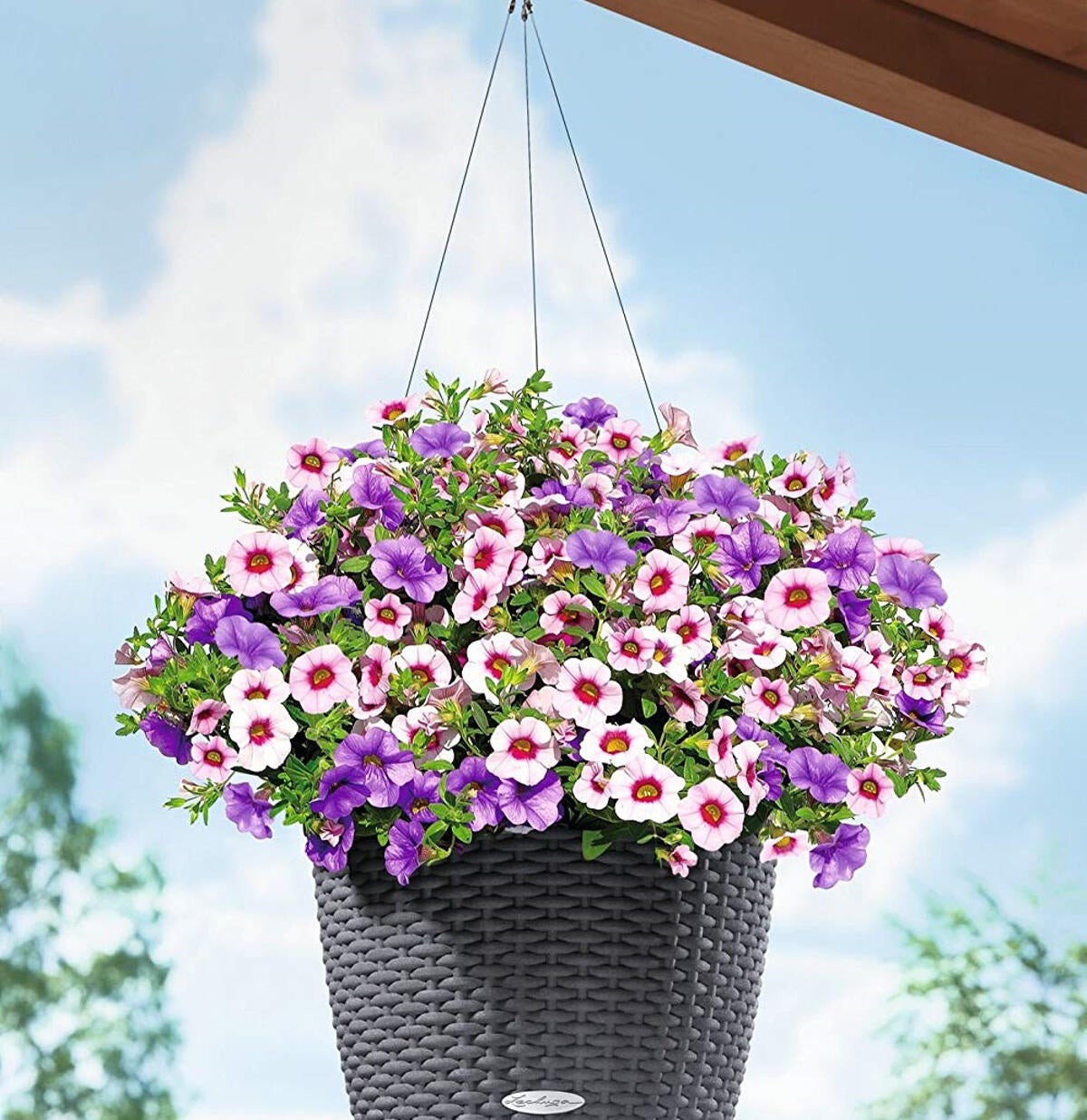 Vaso autoirrigante LECHUZA in polipropilene nero H 23 x ø 27 cm - 4