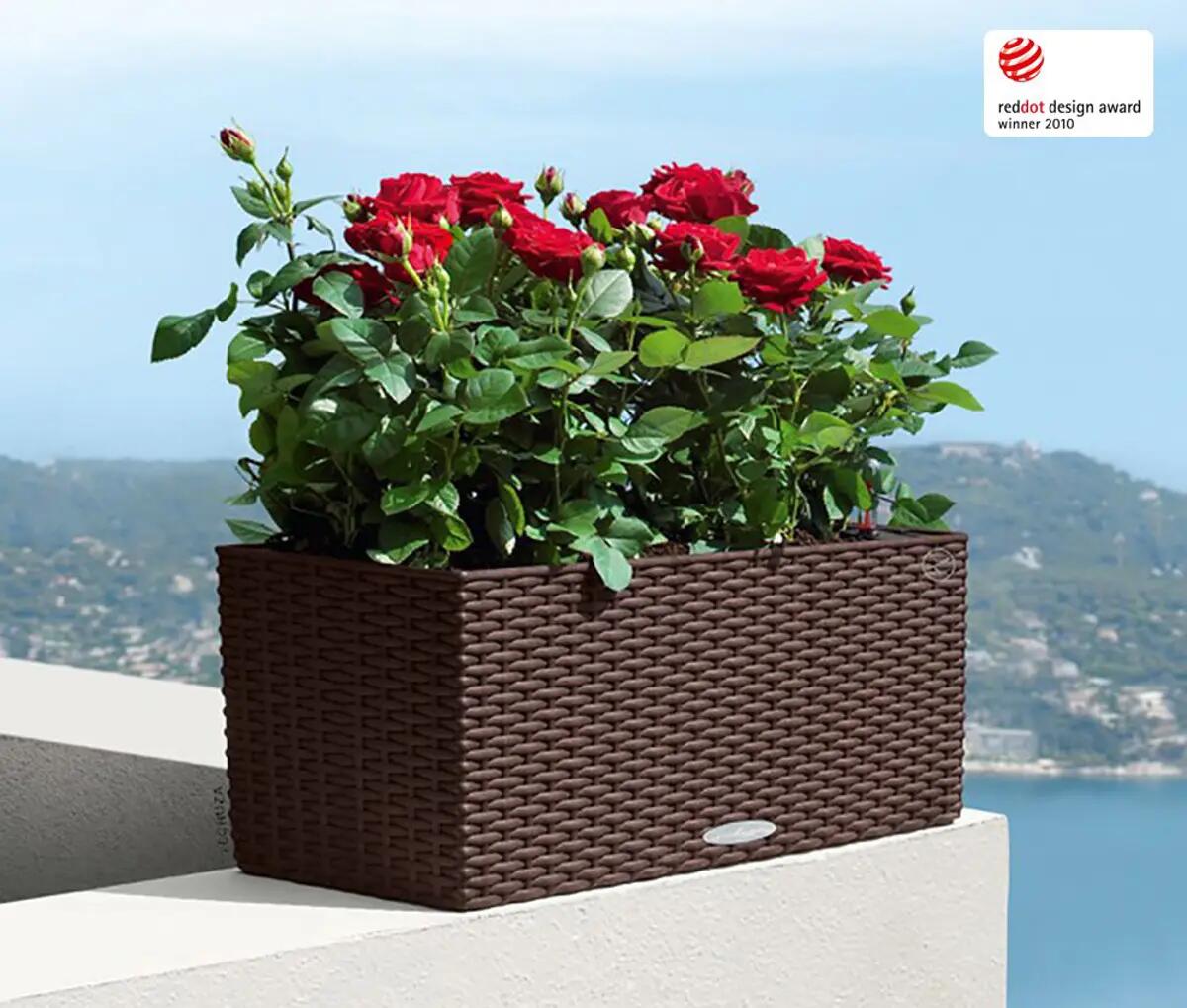 Vaso autoirrigante LECHUZA in polipropilene marrone H 19 x L 50 x P 19 cm - 2