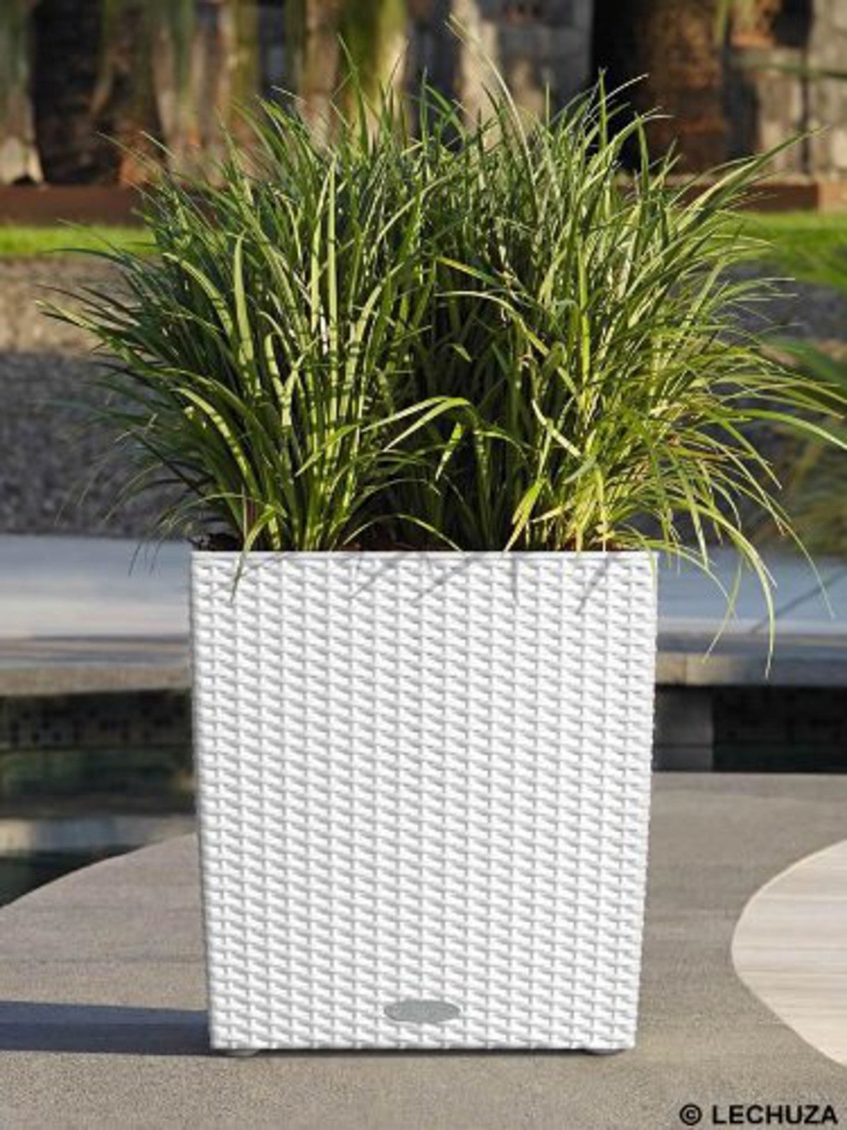 Vaso autoirrigante Cubico Cottage LECHUZA in polipropilene bianco H 40 x ø 40 cm - 3