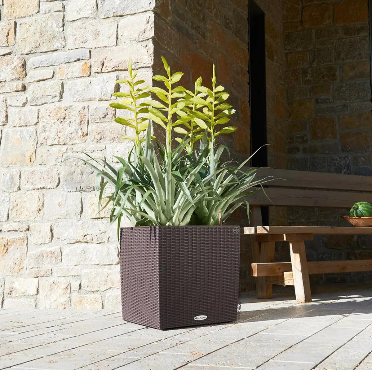 Vaso autoirrigante LECHUZA in polipropilene marrone H 40 x L 40 x P 40 cm - 2