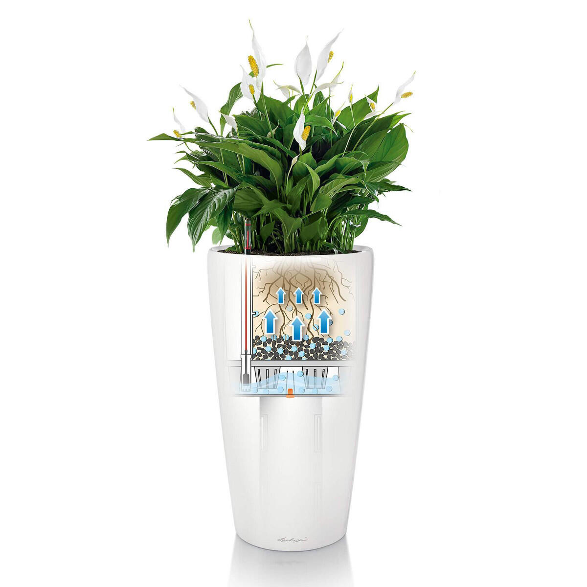 Vaso autoirrigante Rondo Premium LECHUZA in polipropilene nero H 56 x ø 32 cm - 8