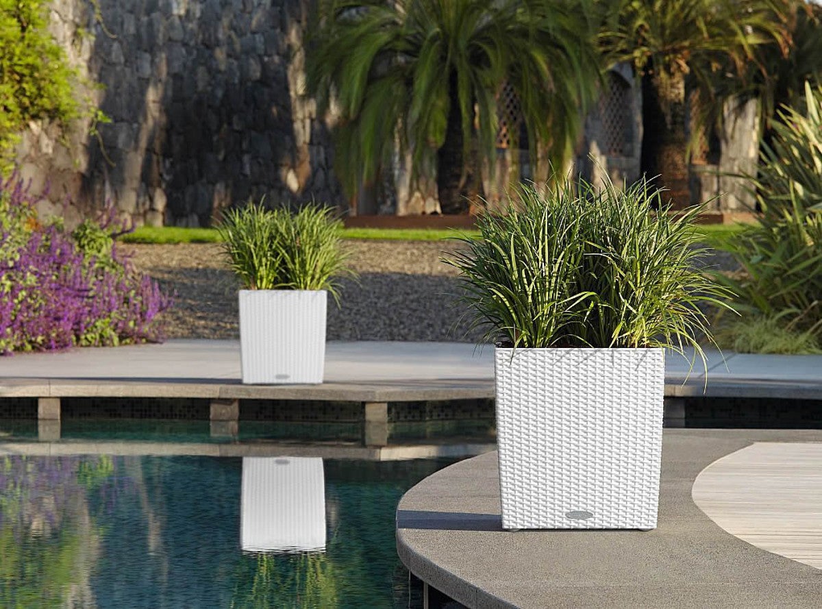 Vaso autoirrigante Cubico Cottage LECHUZA in polipropilene bianco H 40 x ø 40 cm - 2