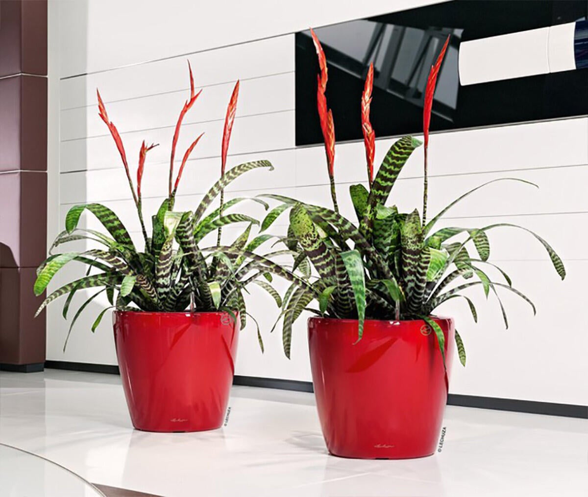 Vaso autoirrigante Classico Premium LECHUZA in polipropilene rosso H 40 x ø 43 cm - 3