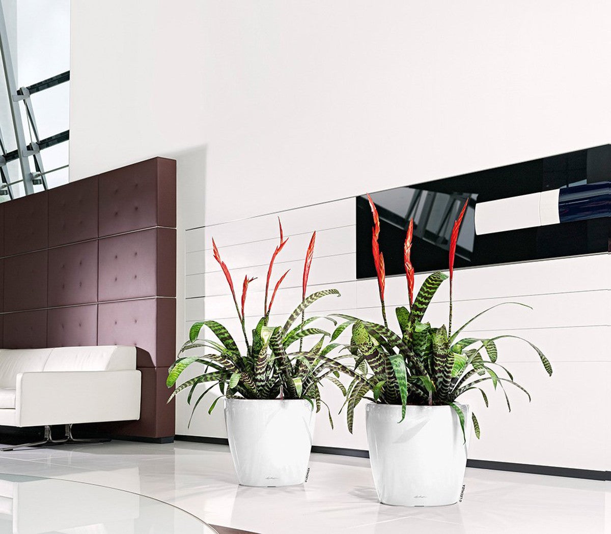 Coprivaso autoirrigante Classico Premium LECHUZA in polipropilene bianco H 40 x ø 43 cm - 3