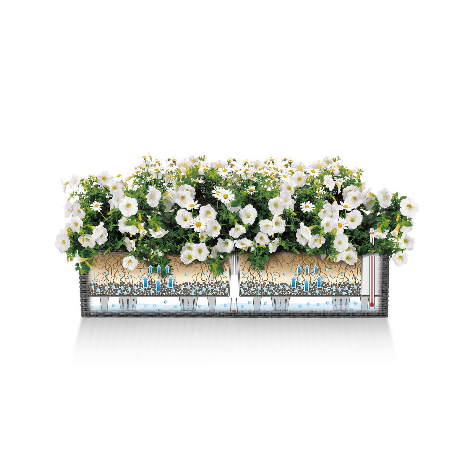 Vaso autoirrigante LECHUZA in polipropilene marrone H 19 x L 19 x P 19 cm - 5