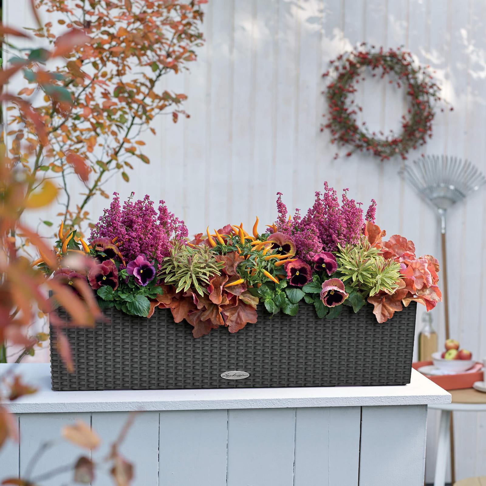 Vaso autoirrigante LECHUZA in polipropilene marrone H 19 x L 19 x P 19 cm - 2