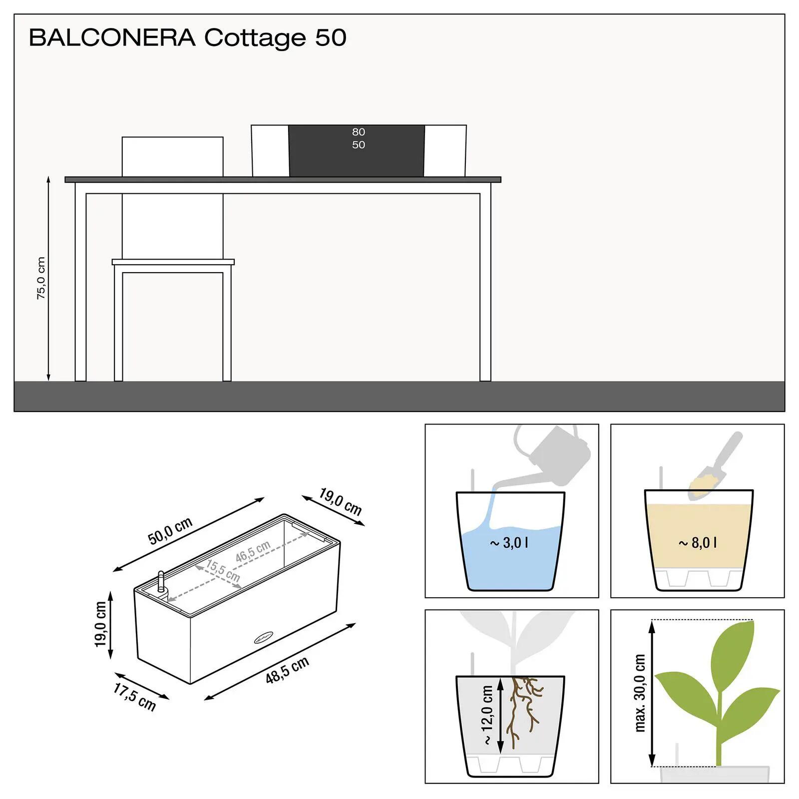 Vaso autoirrigante LECHUZA in polipropilene marrone H 19 x L 50 x P 19 cm - 6