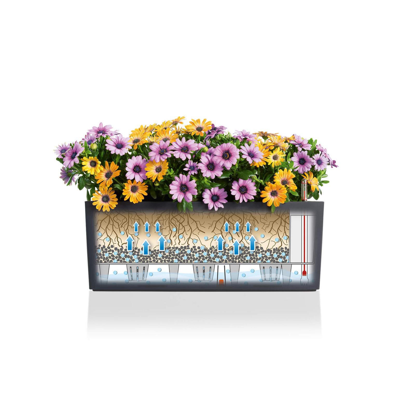 Vaso autoirrigante Color LECHUZA in polipropilene bianco H 19 x L 19 x P 50 cm - 4